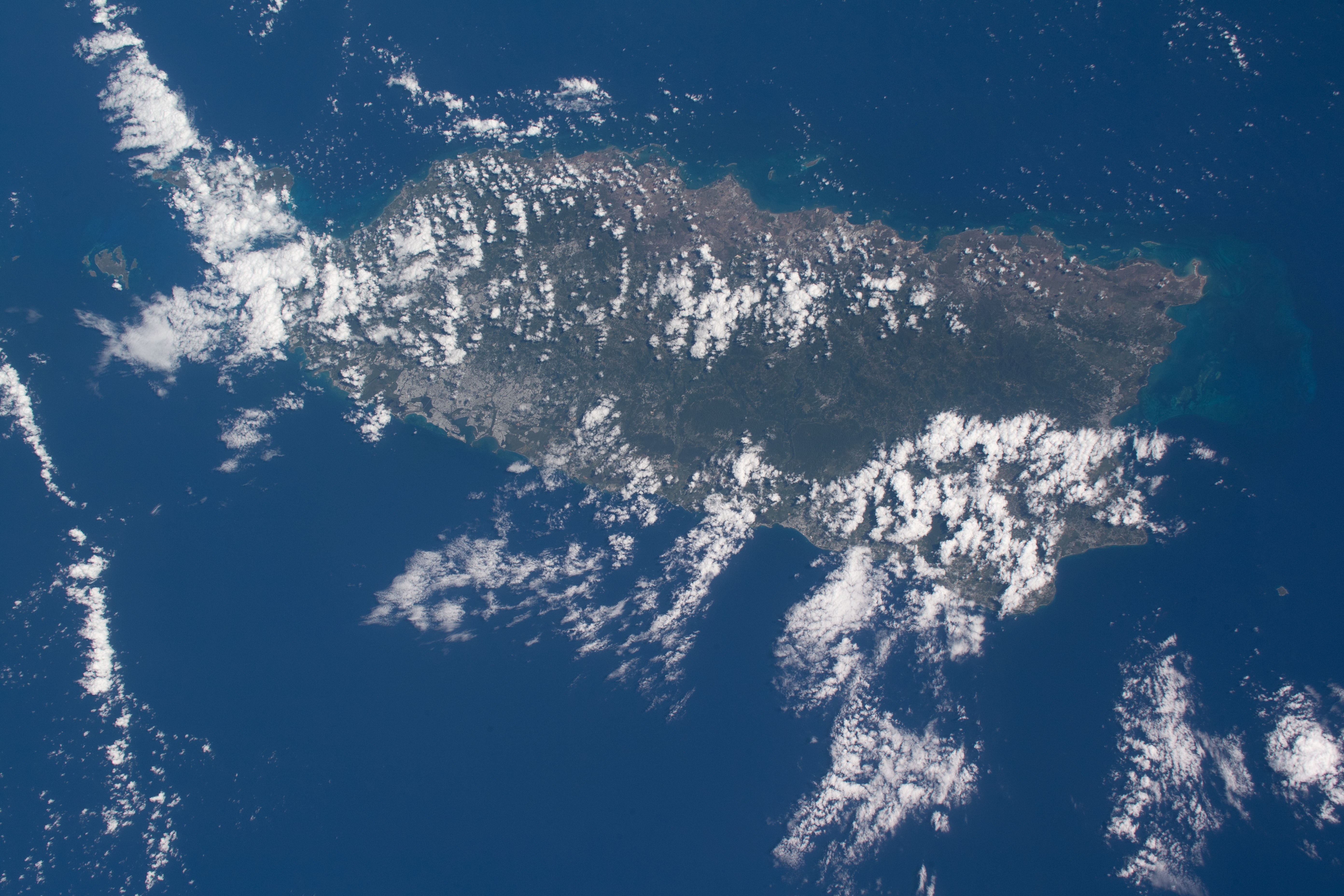 Image display