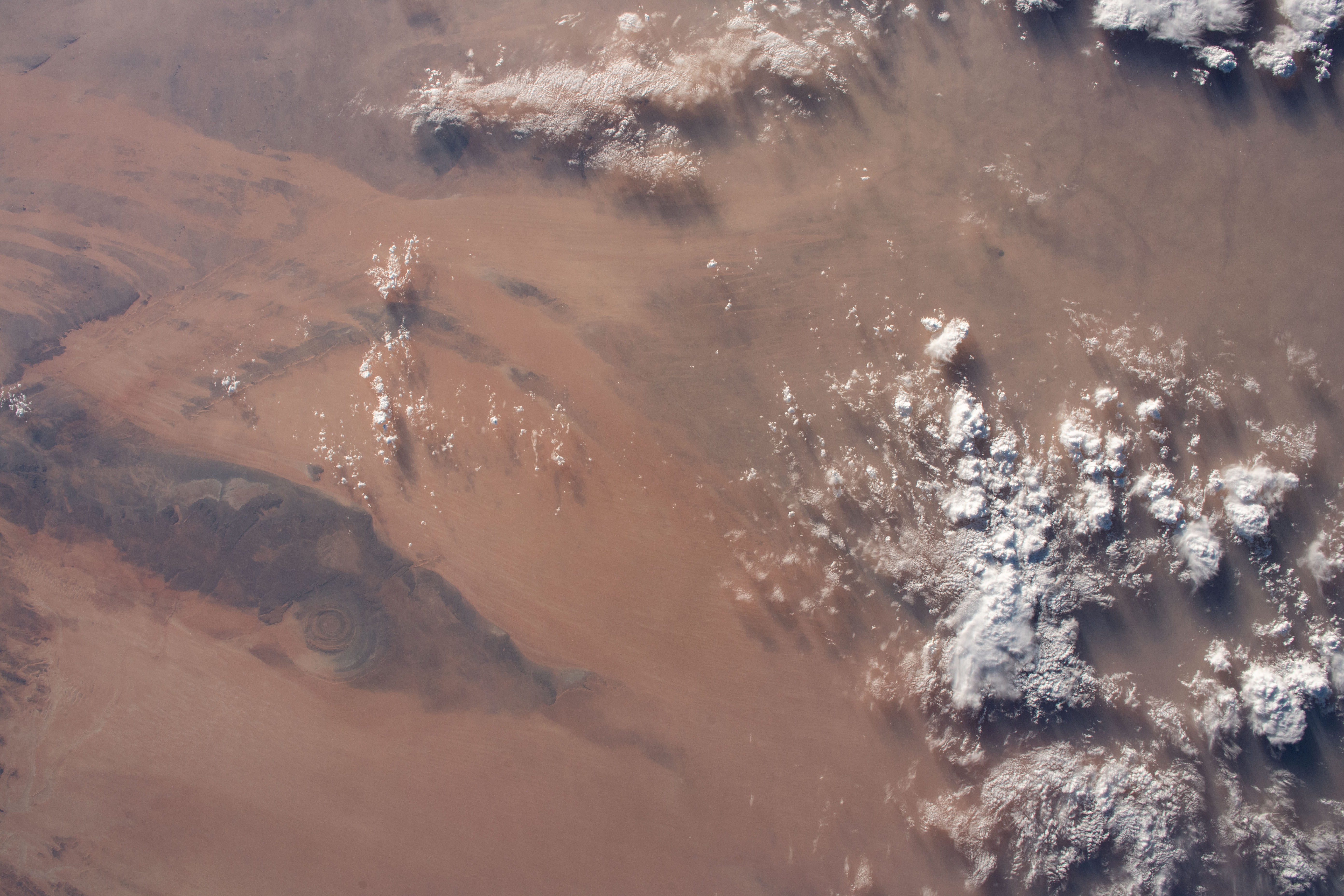Image display