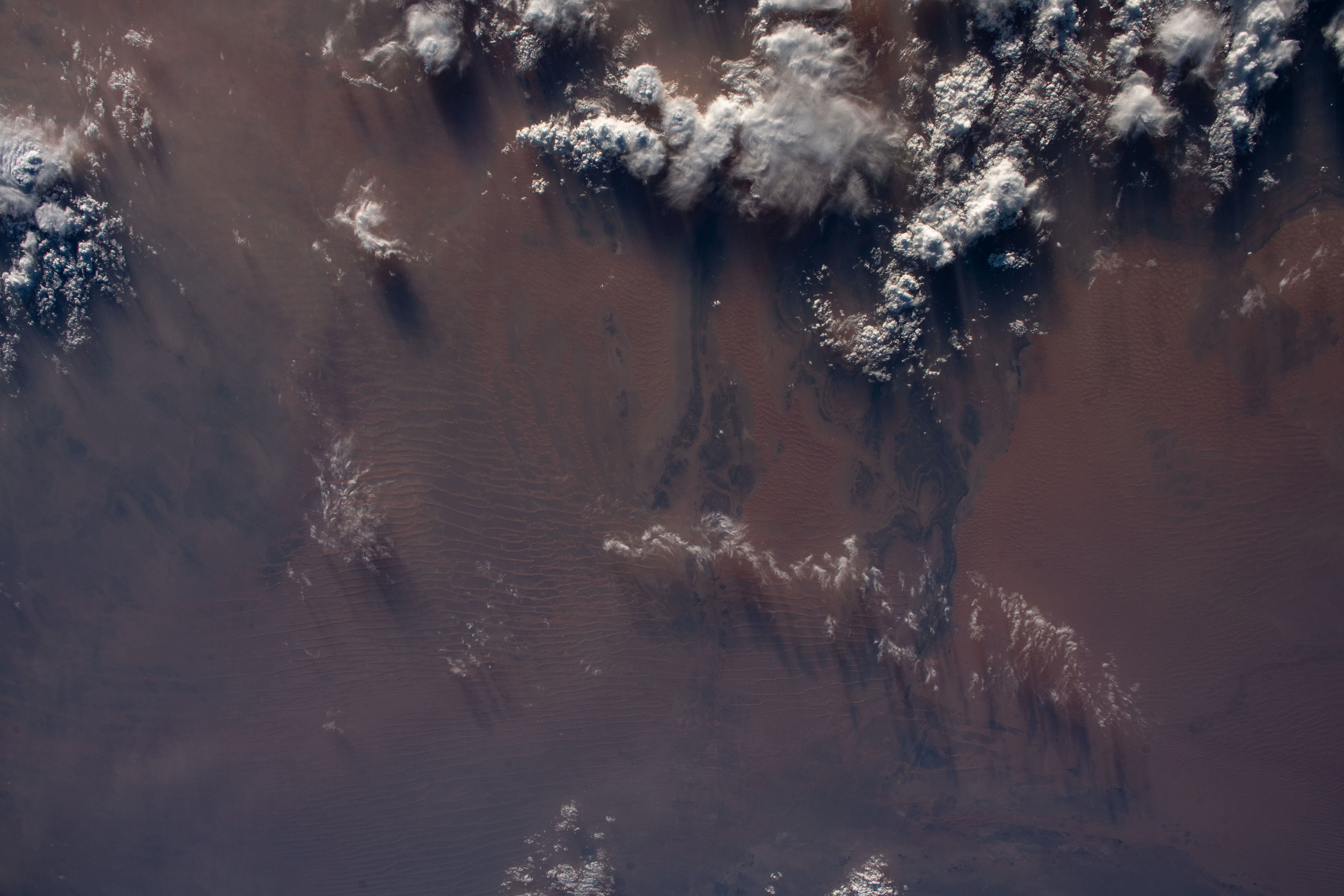 Image display