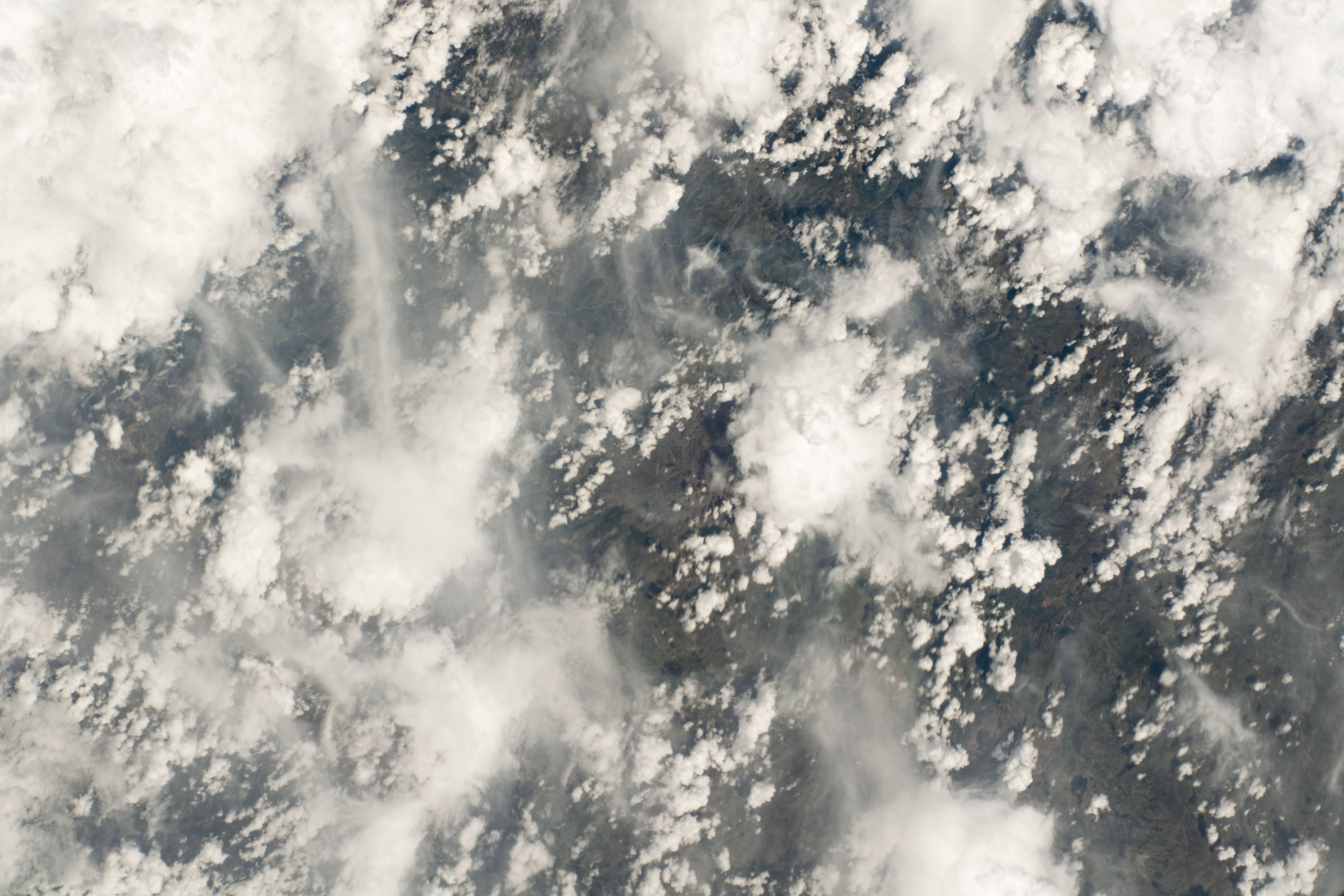 Image display
