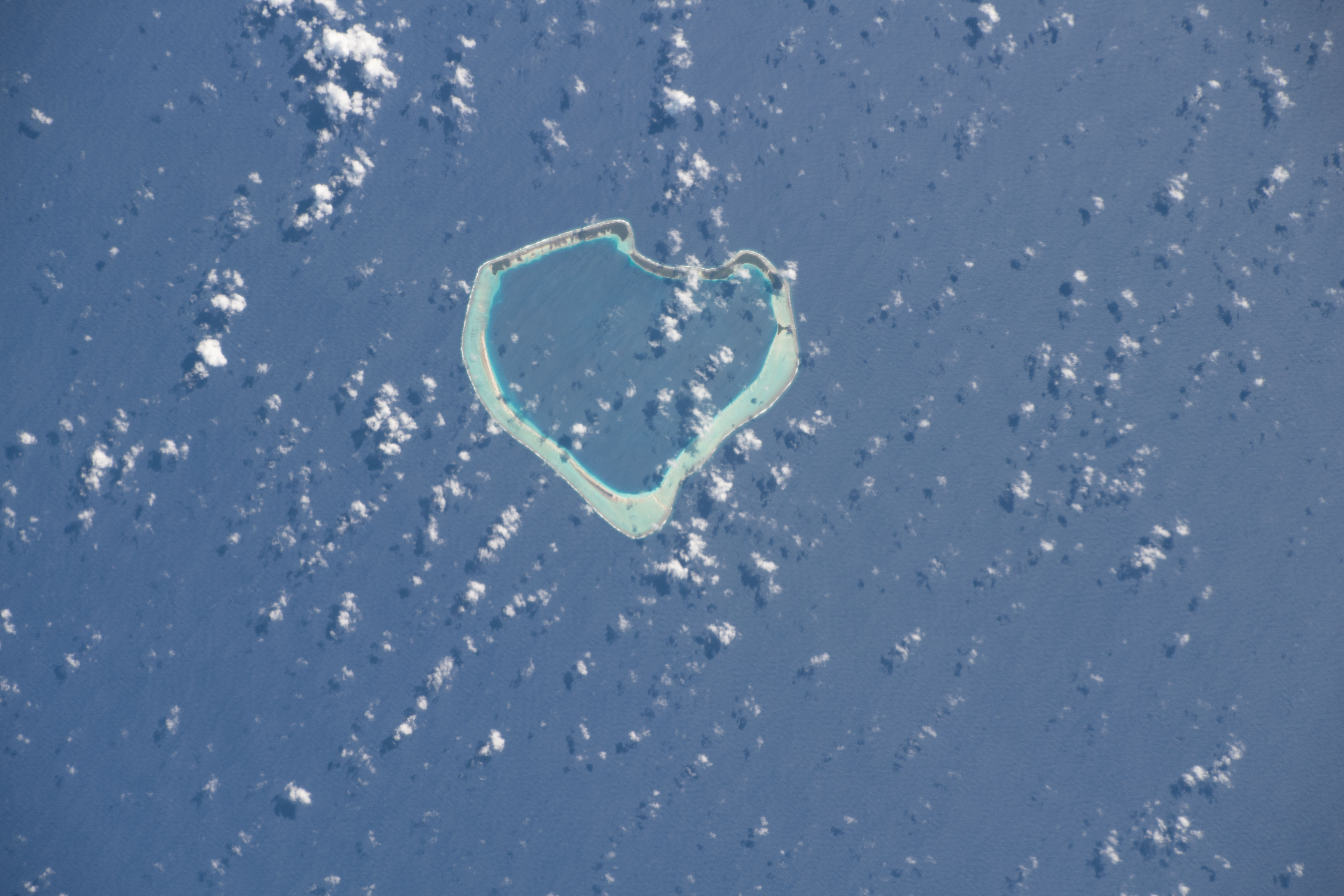 Image display