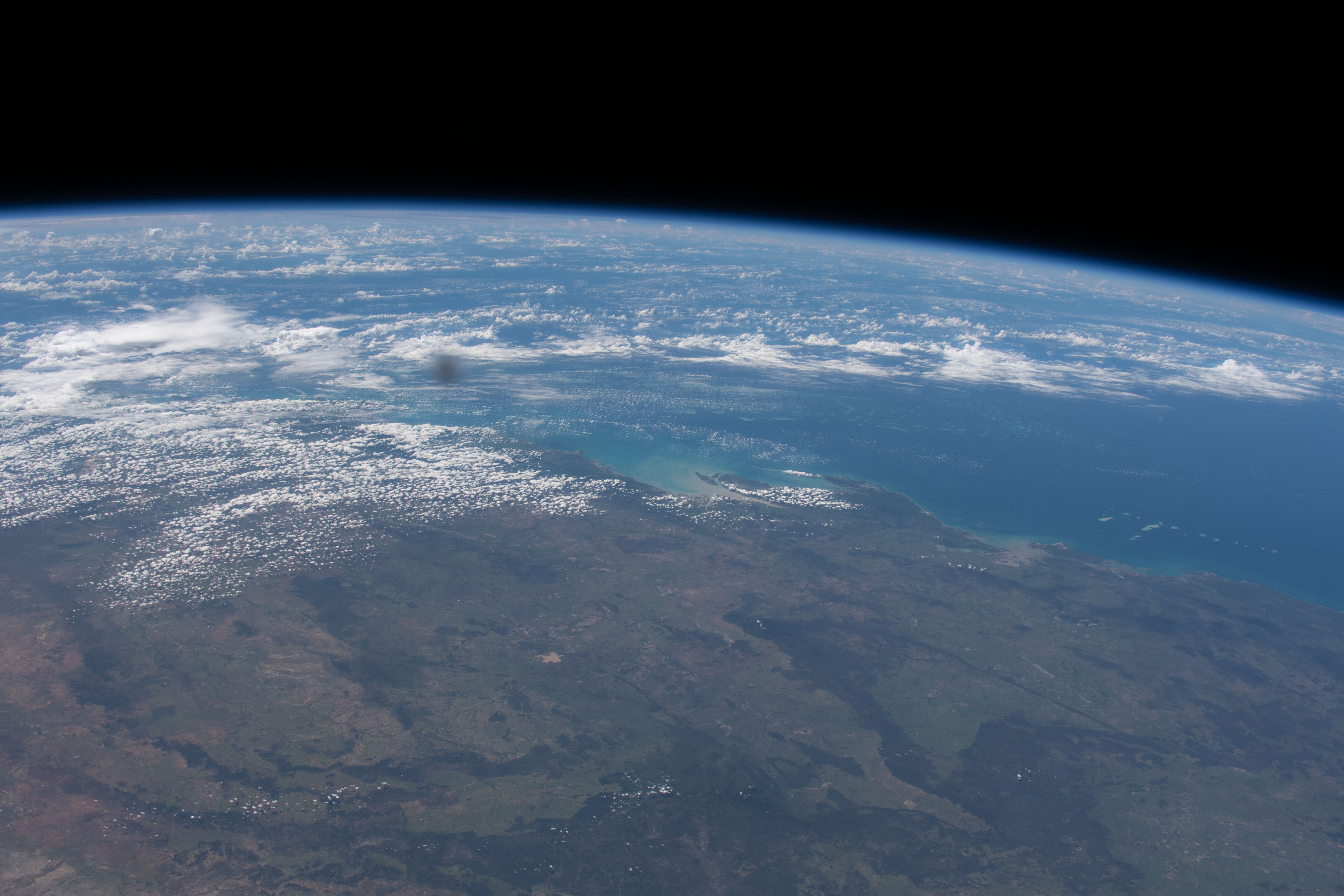 Image display