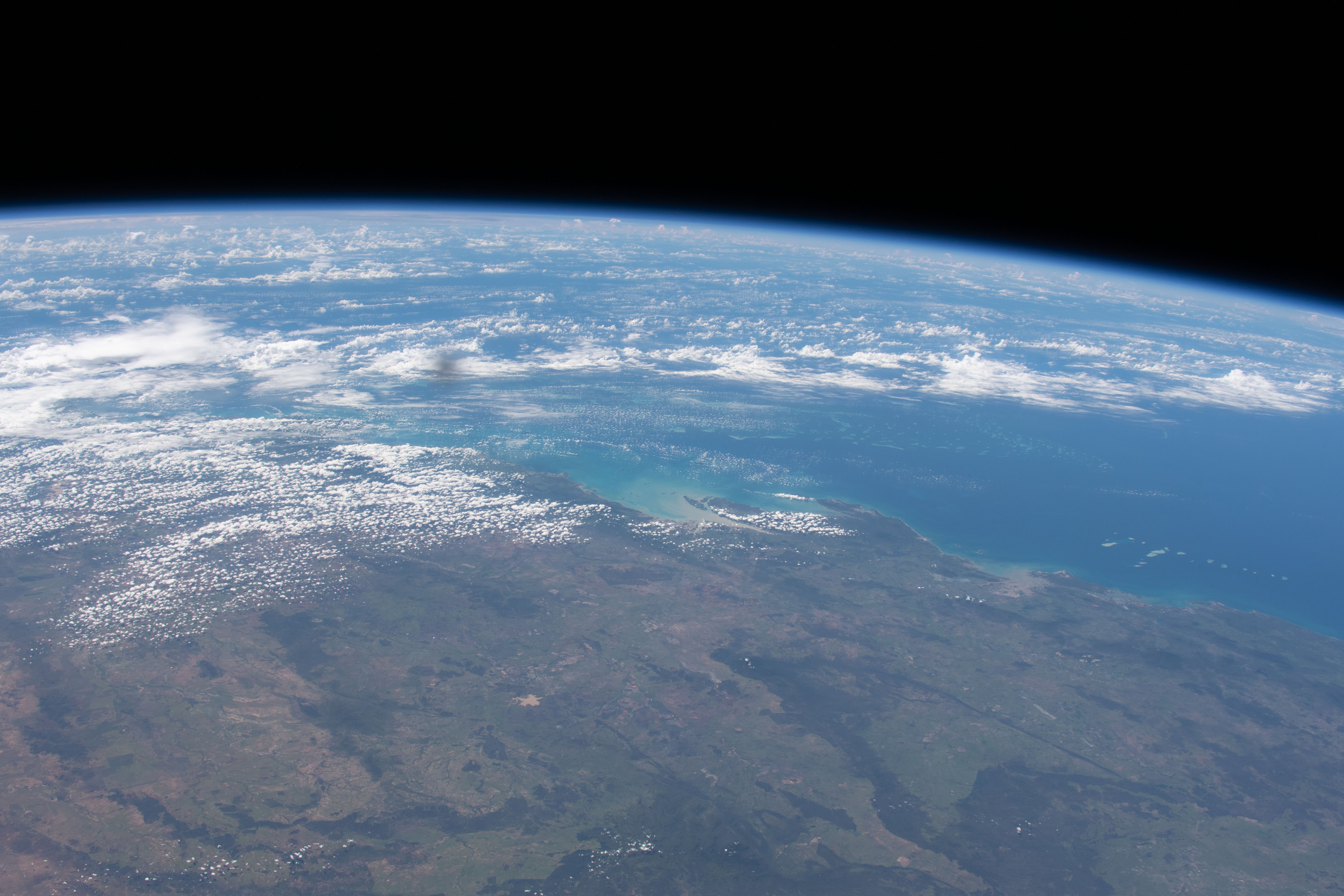 Image display