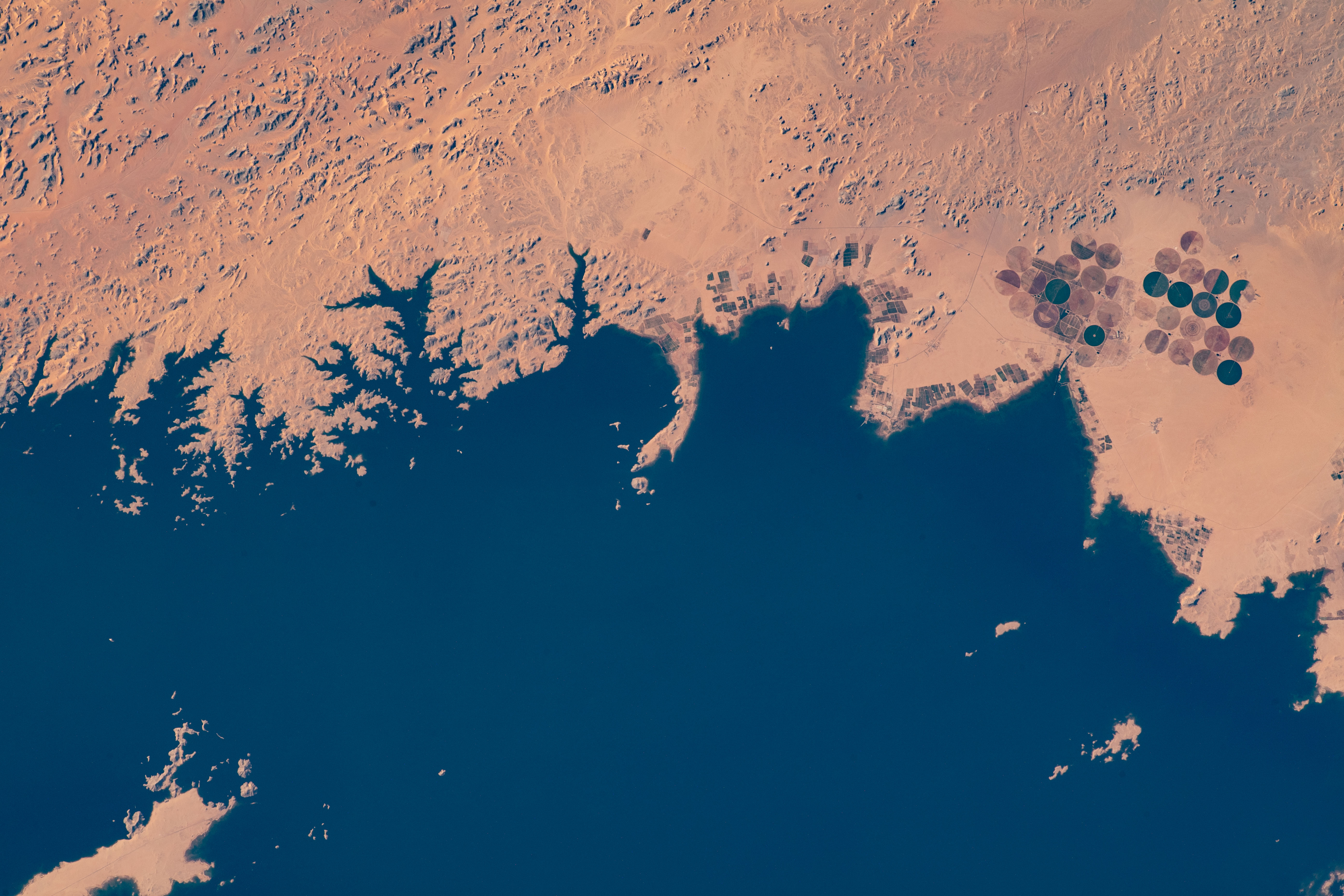 Image display