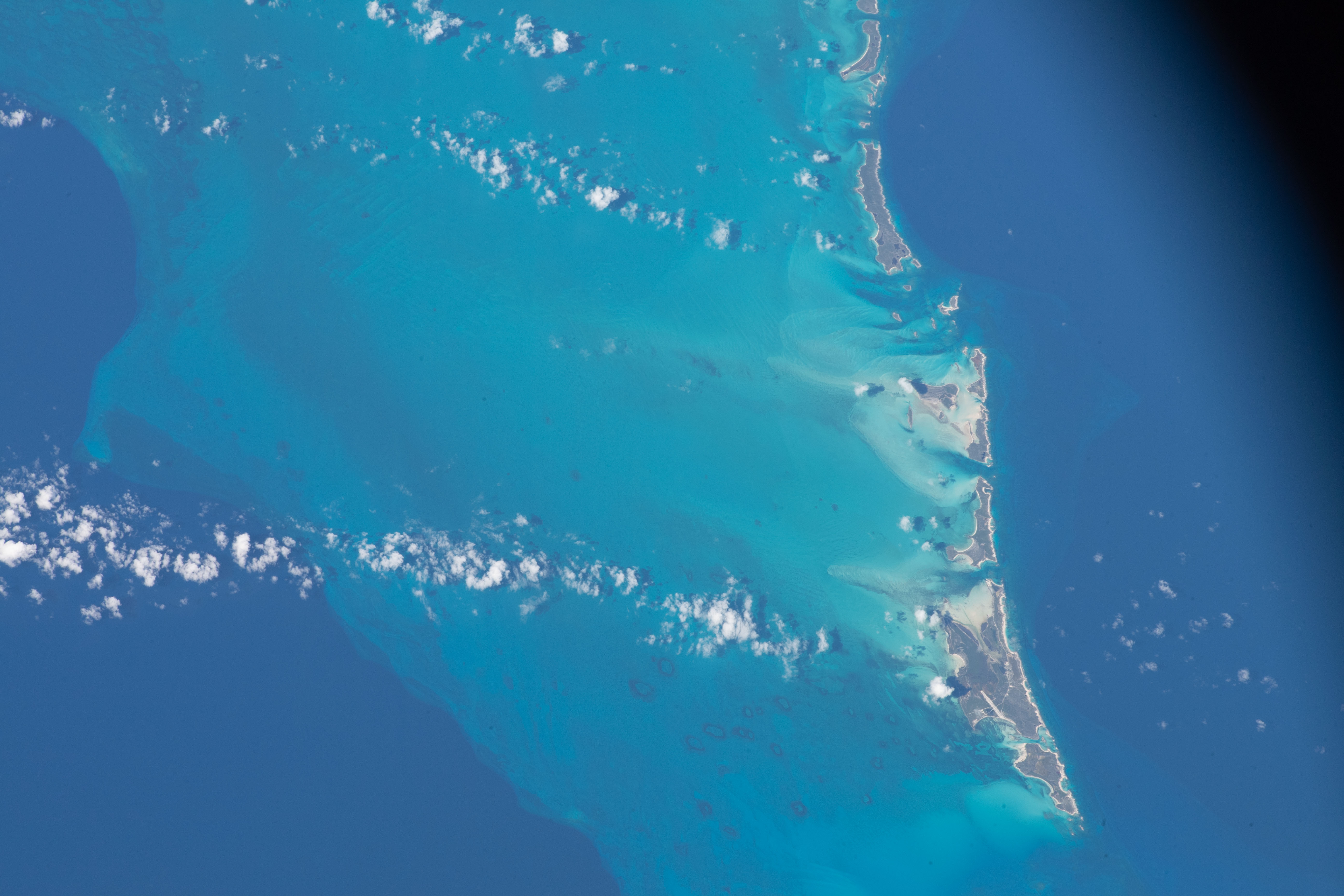 Image display