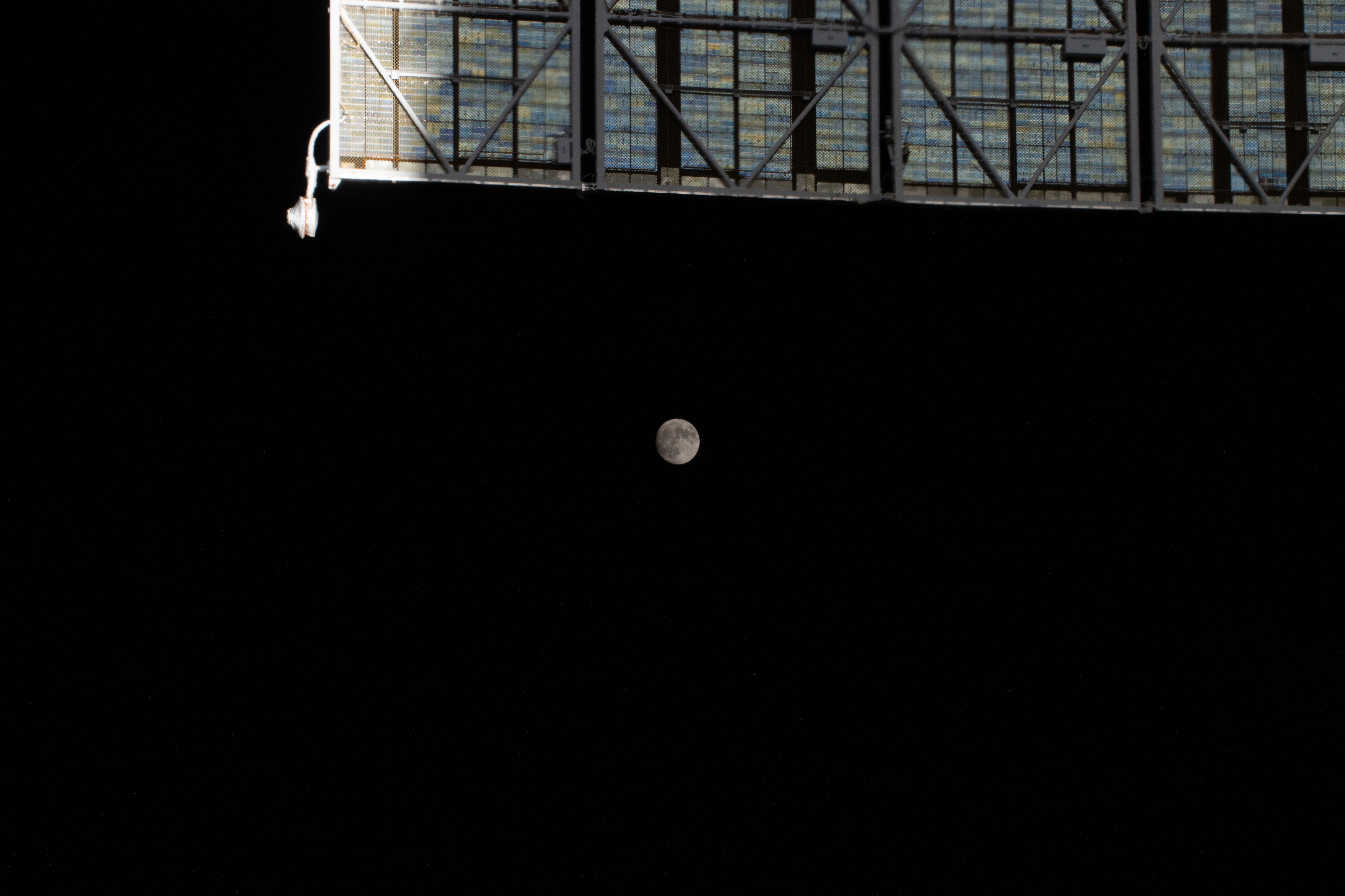 Image display
