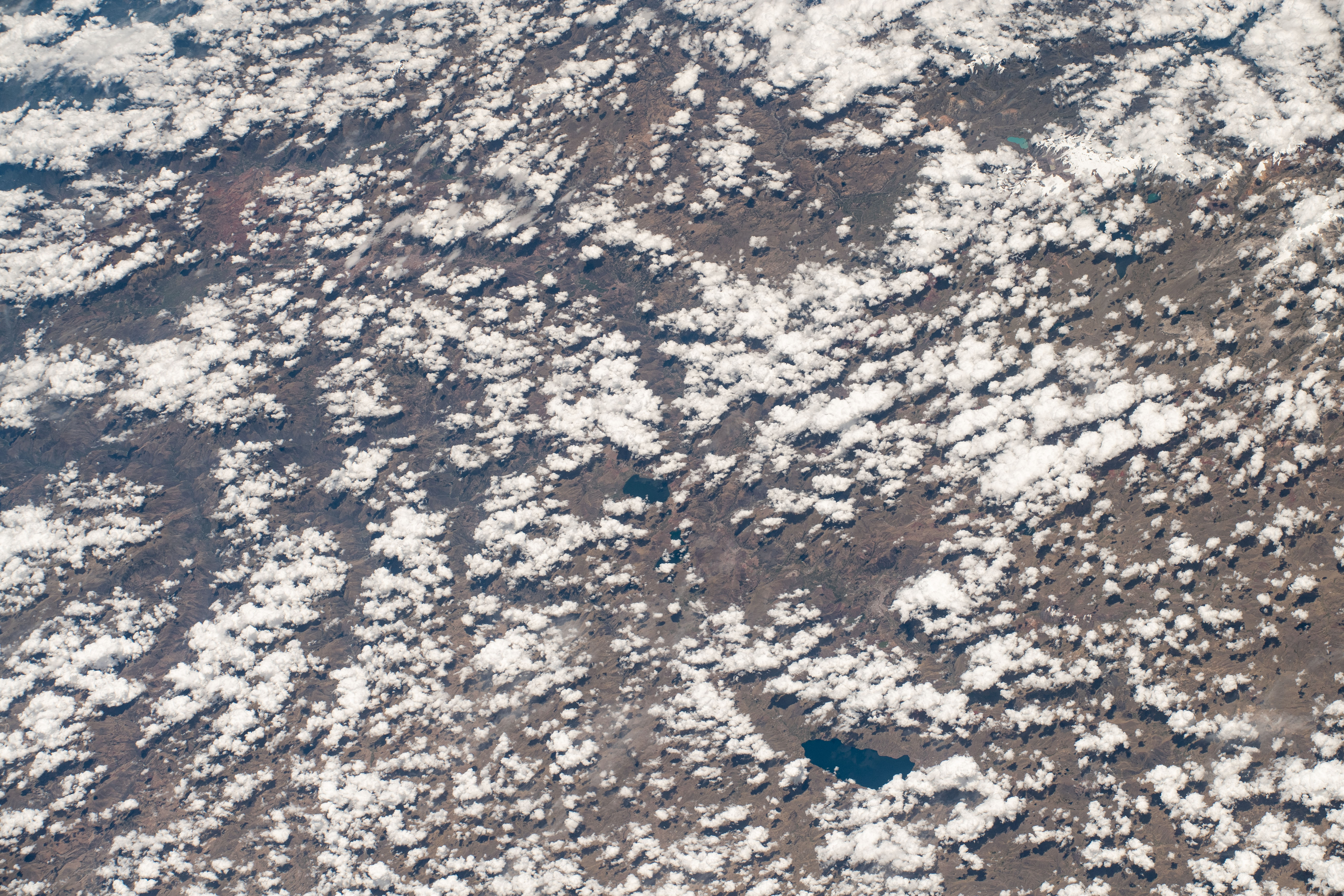 Image display
