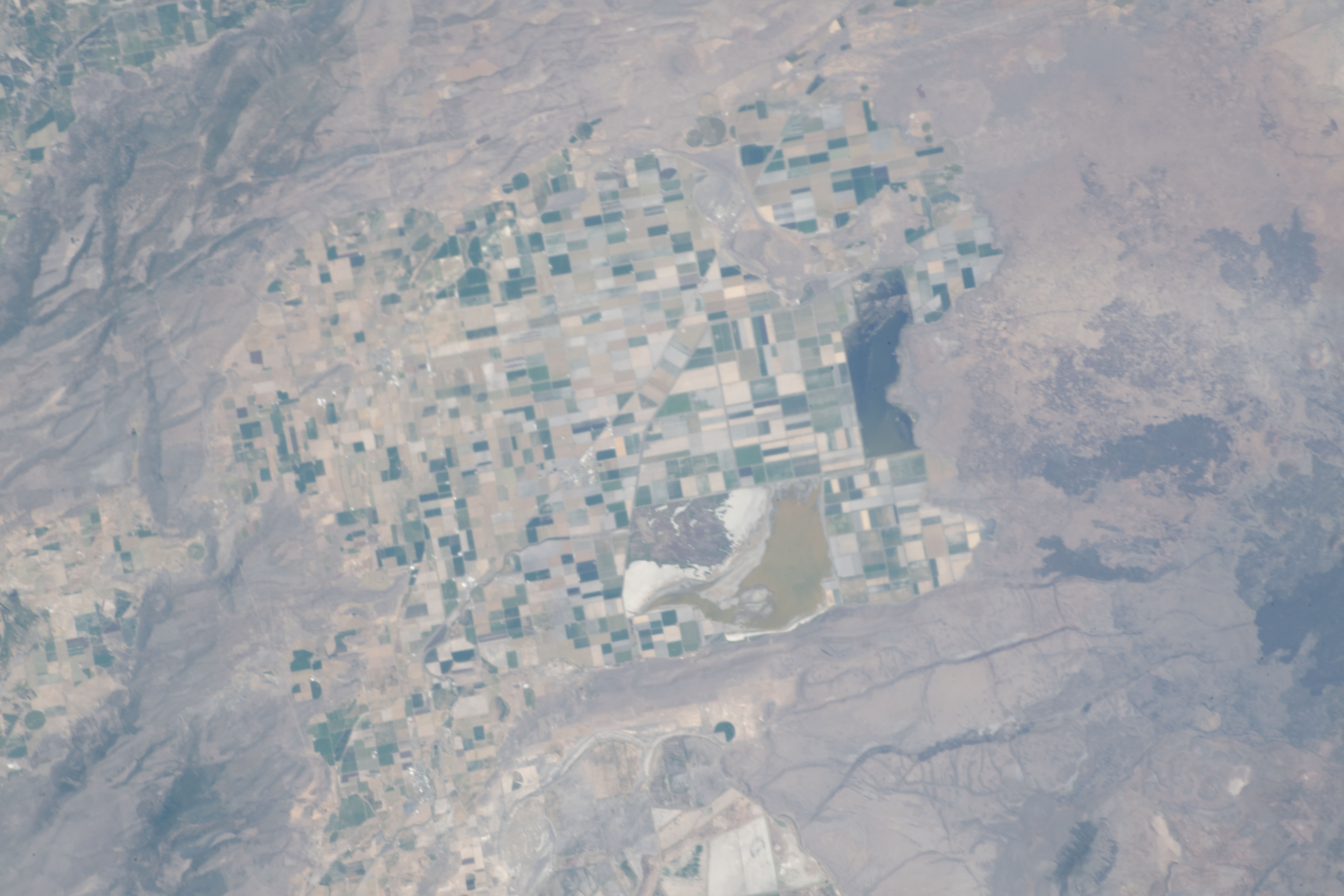 Image display
