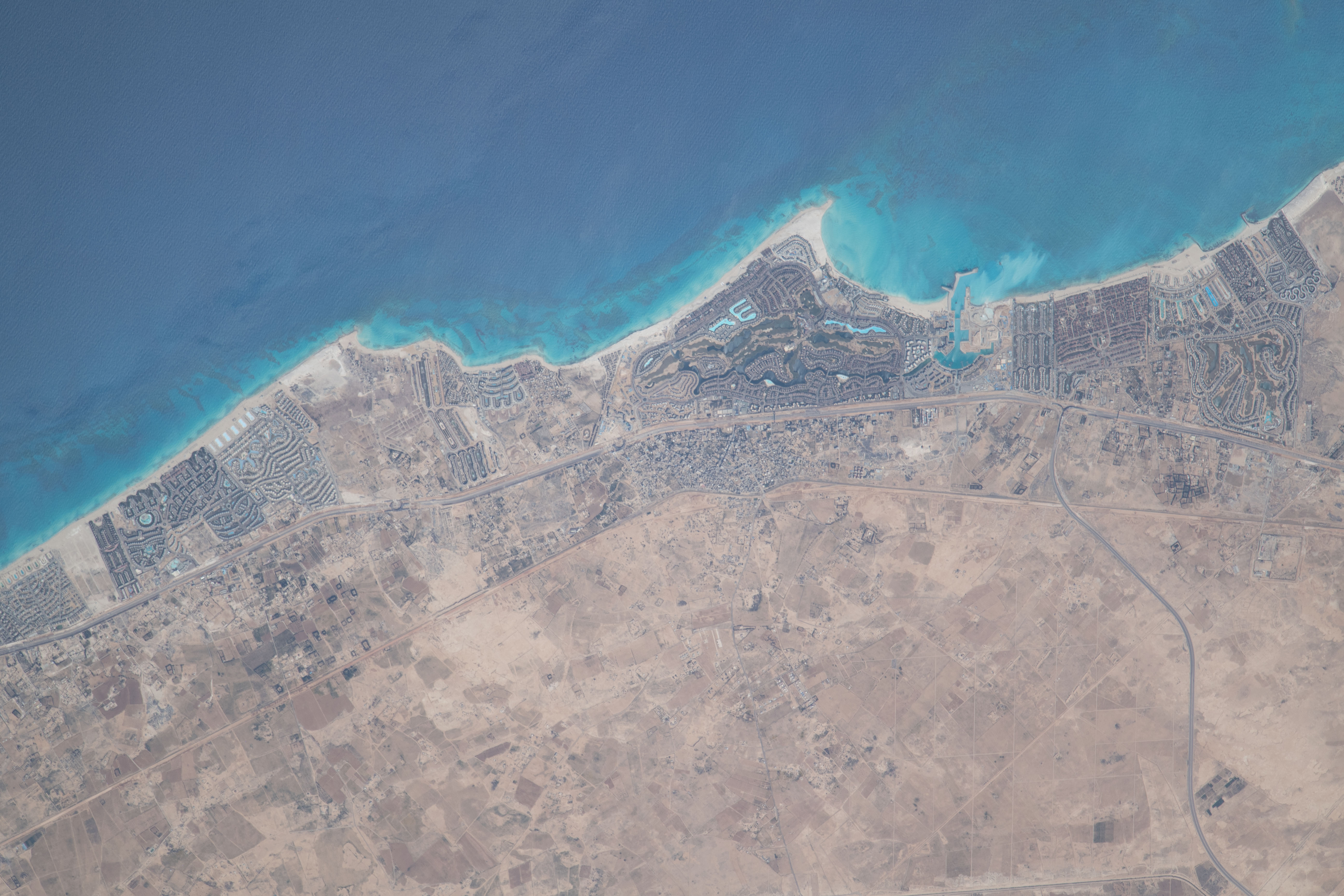 Image display