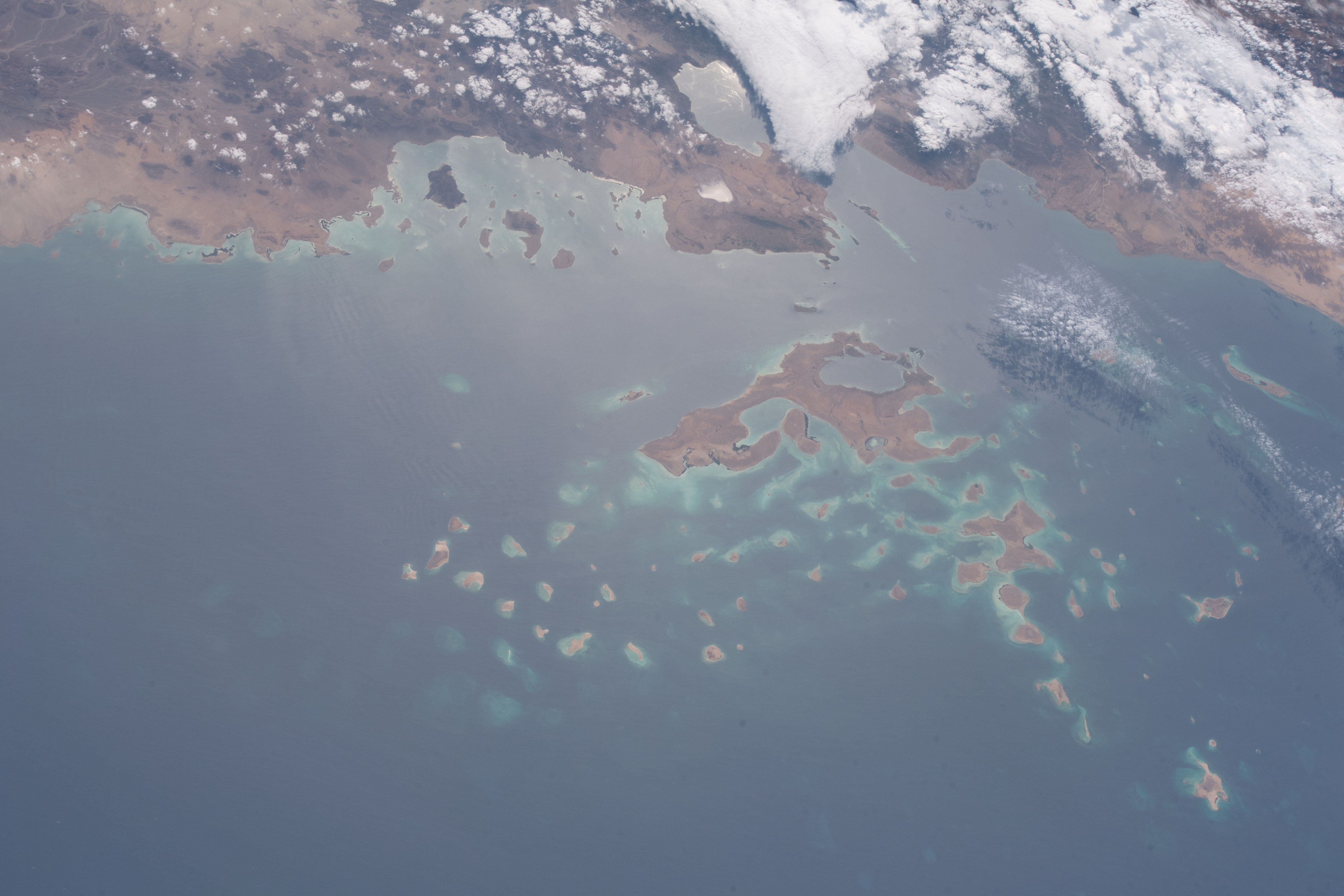 Image display