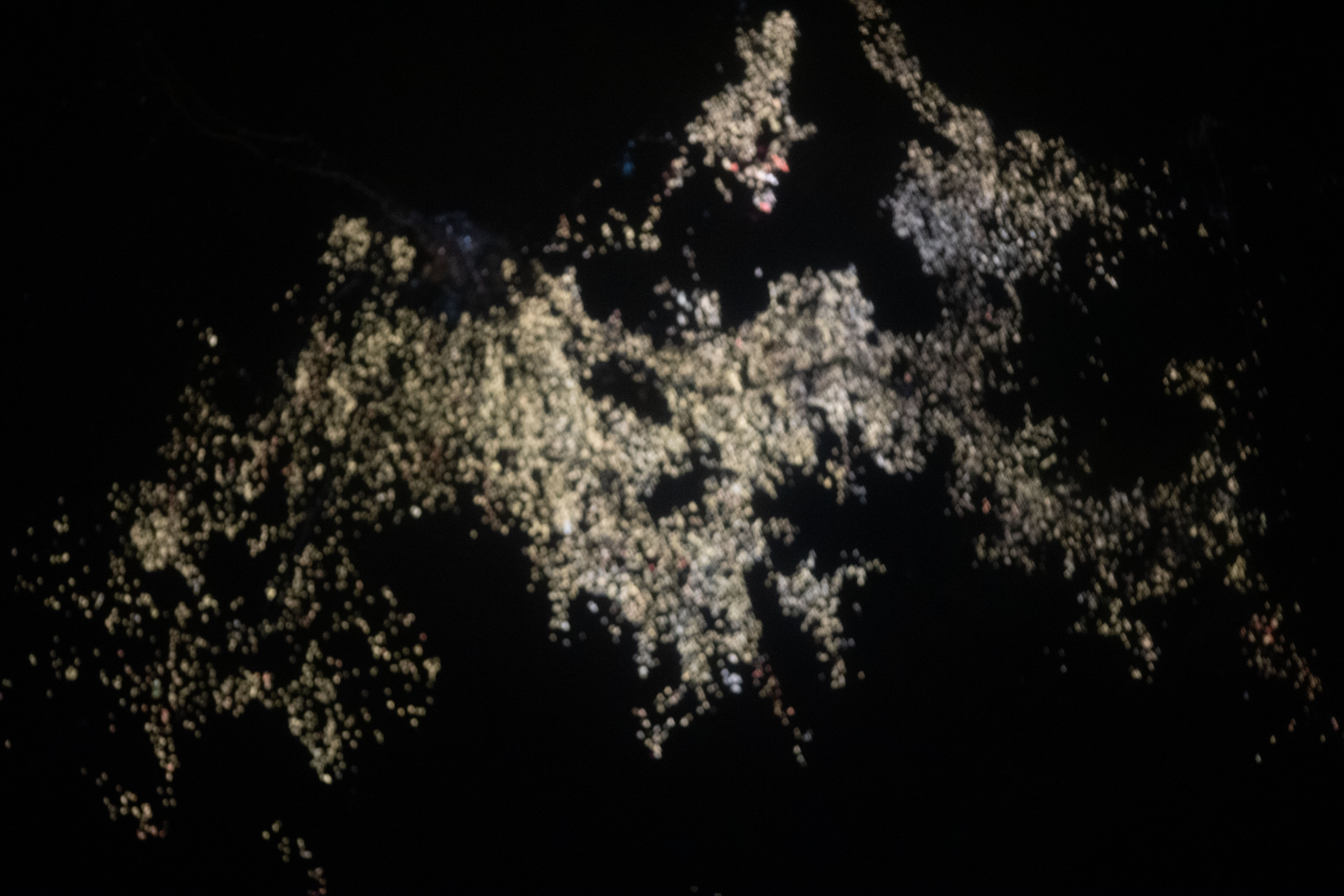 Image display