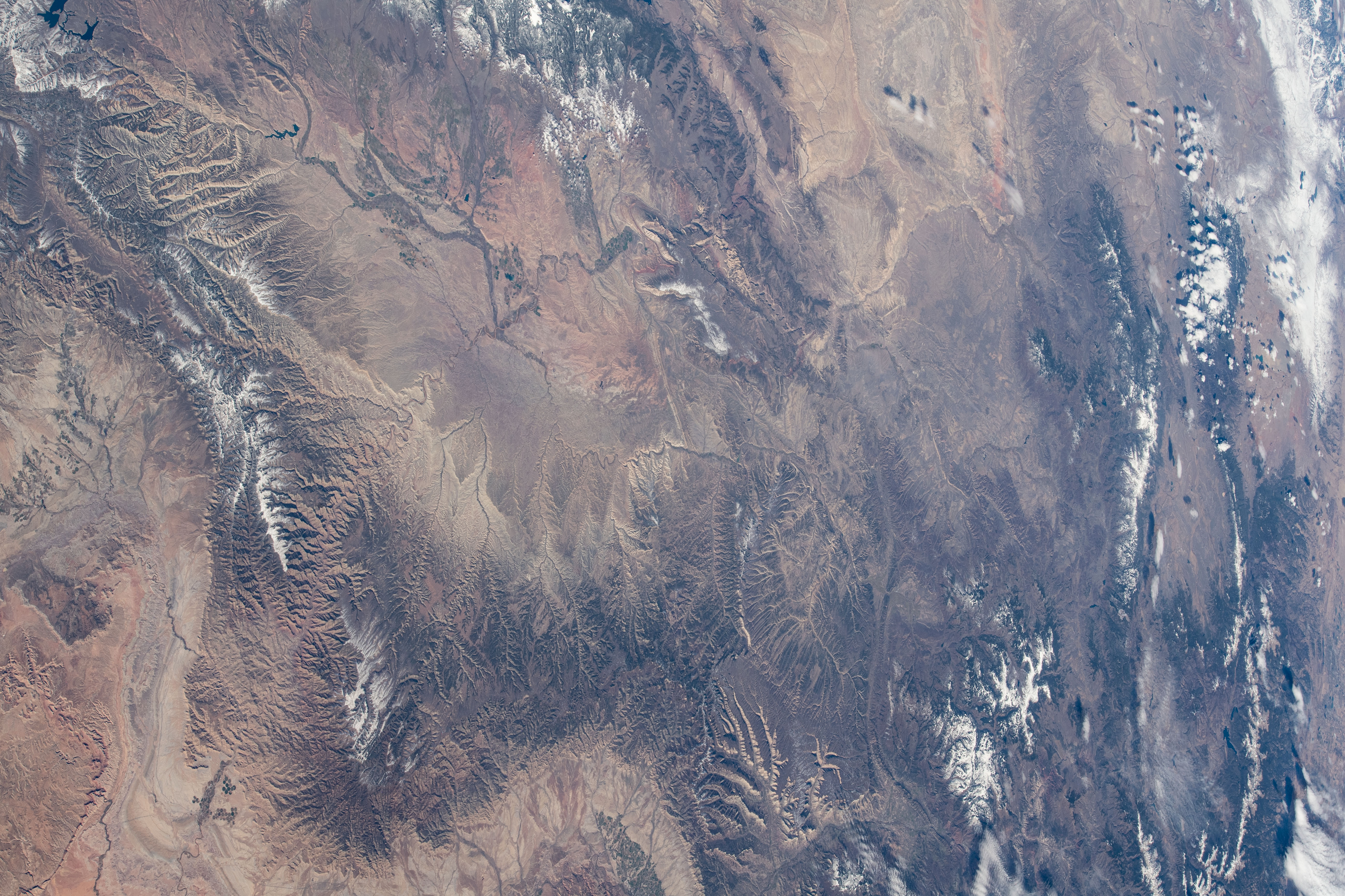 Image display
