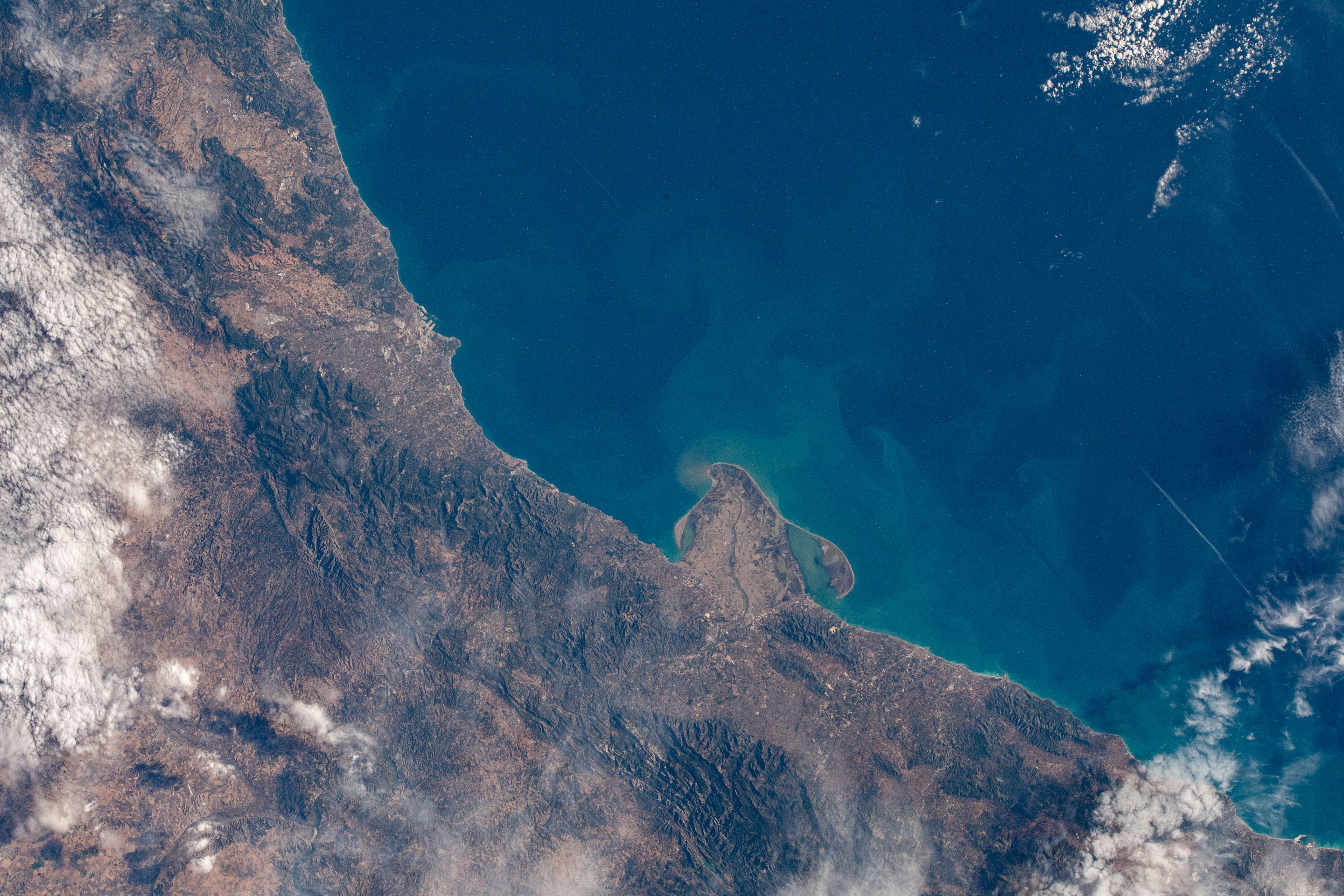 Image display
