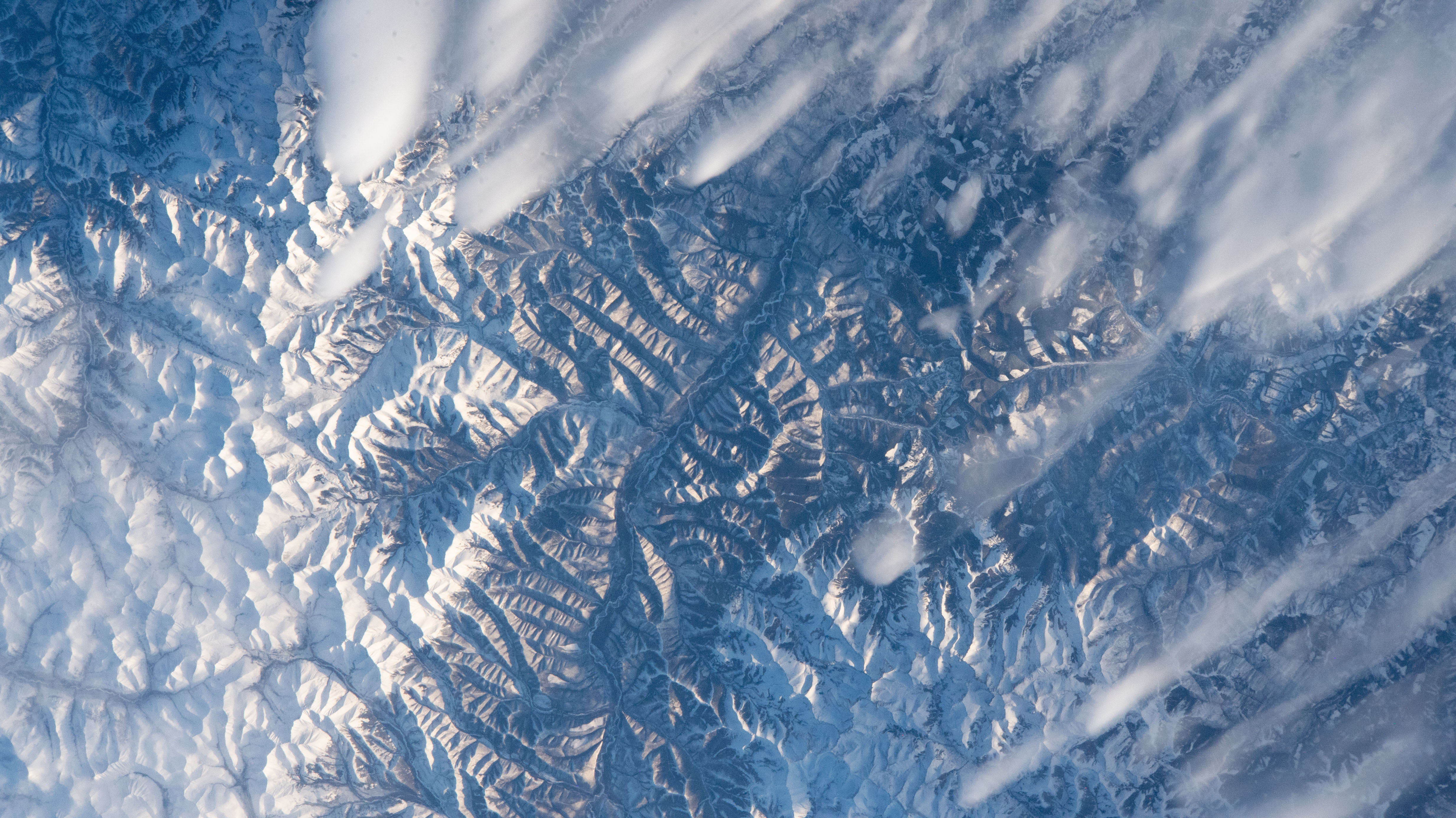 Image display