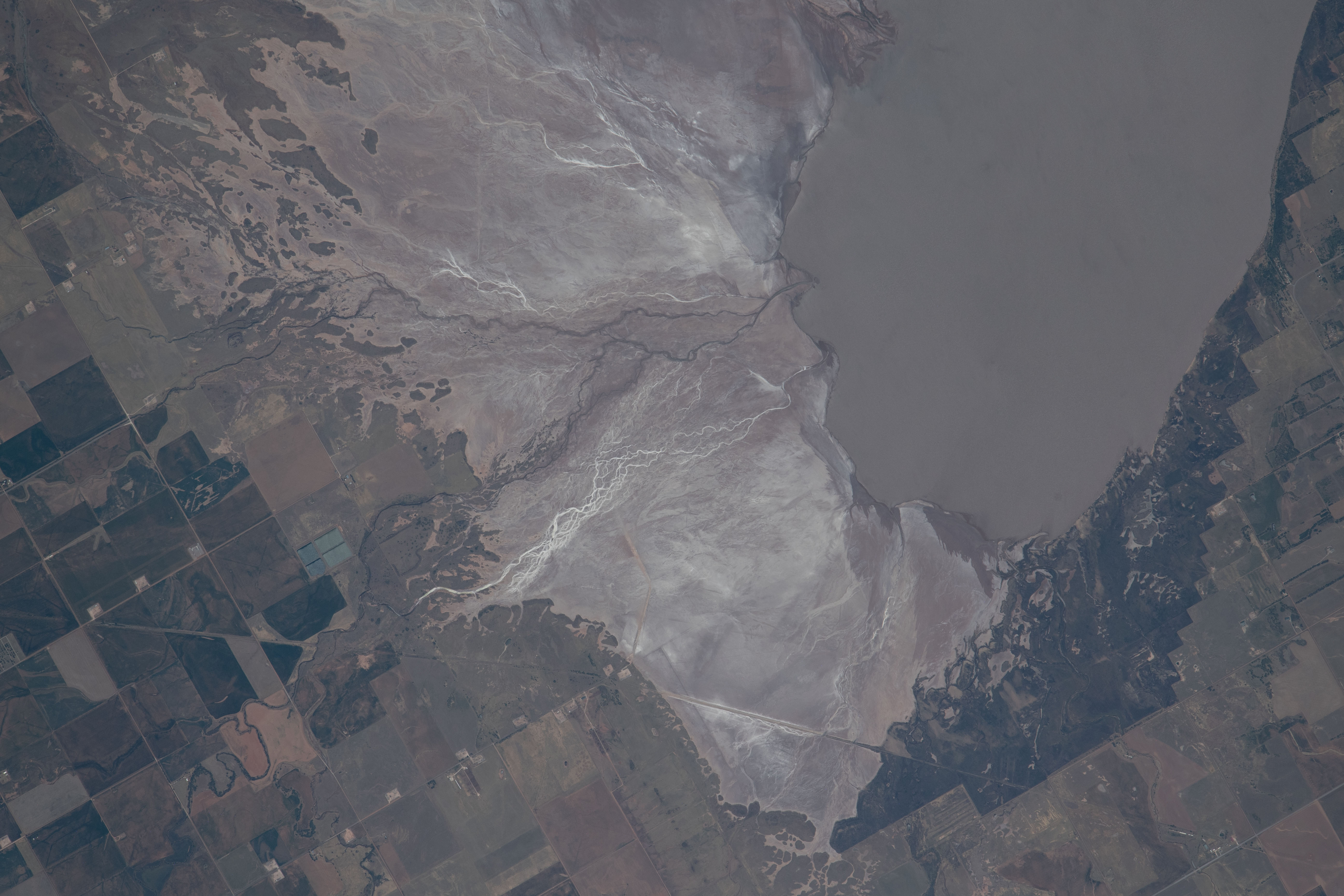 Image display
