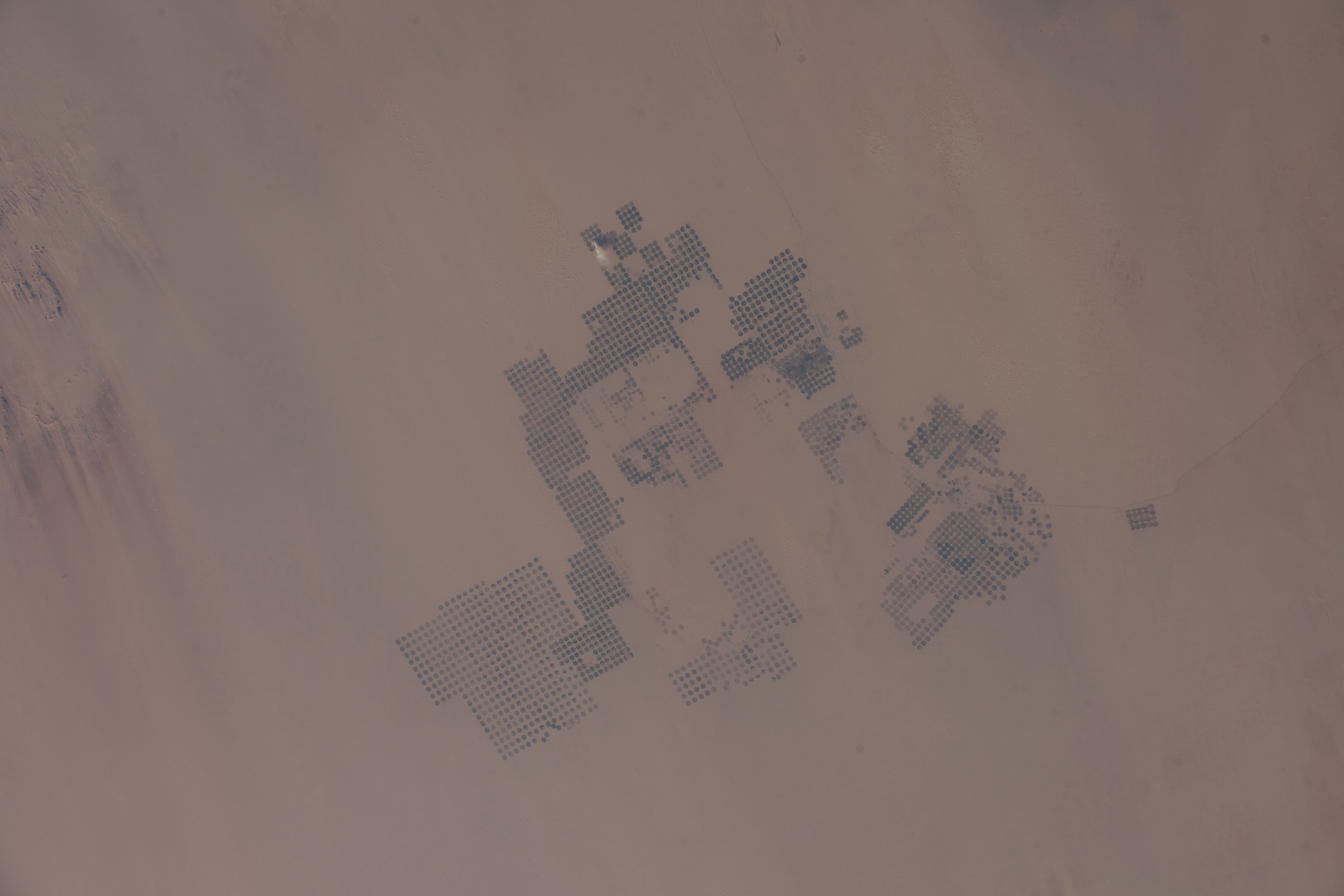 Image display