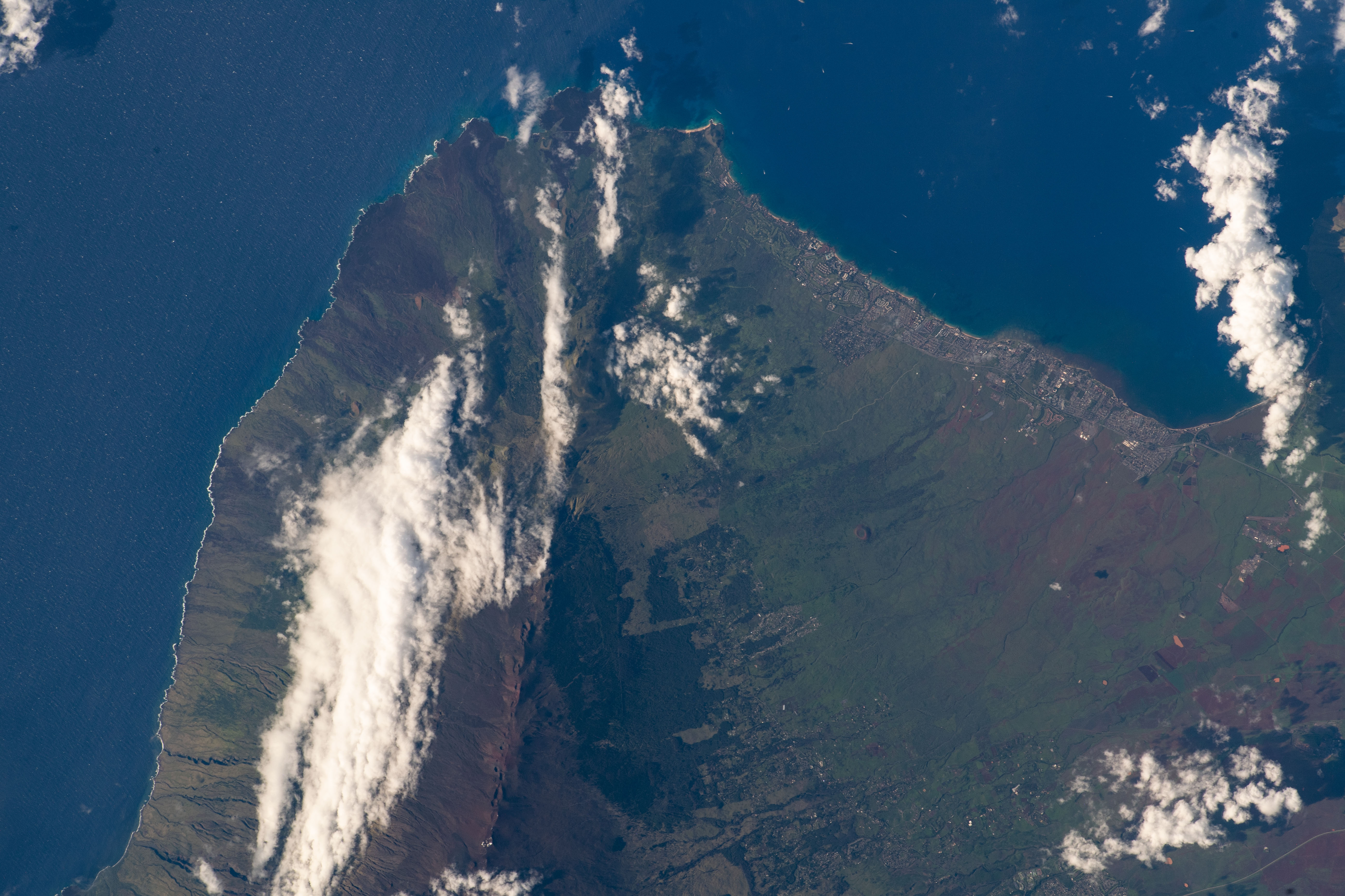 Image display