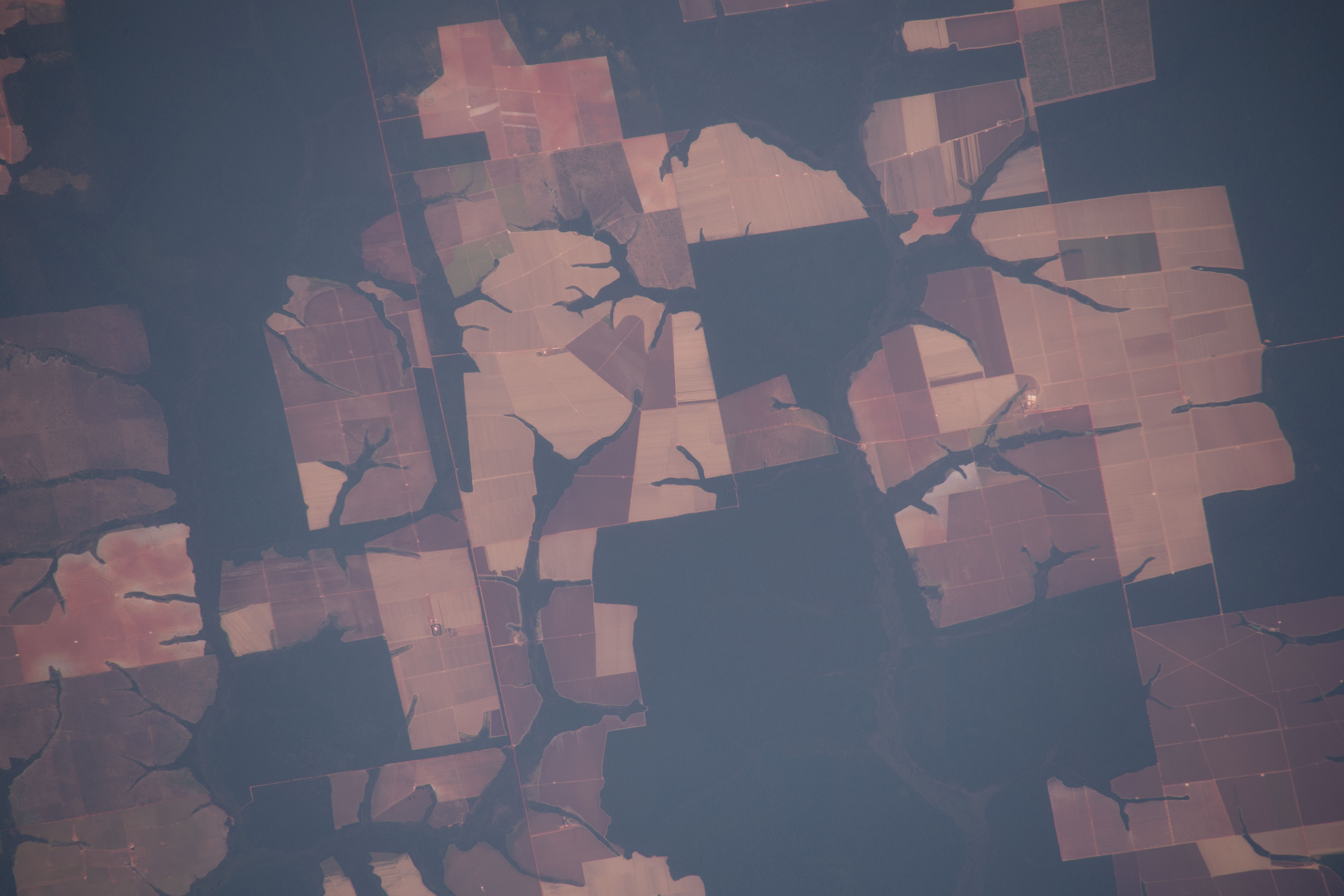 Image display