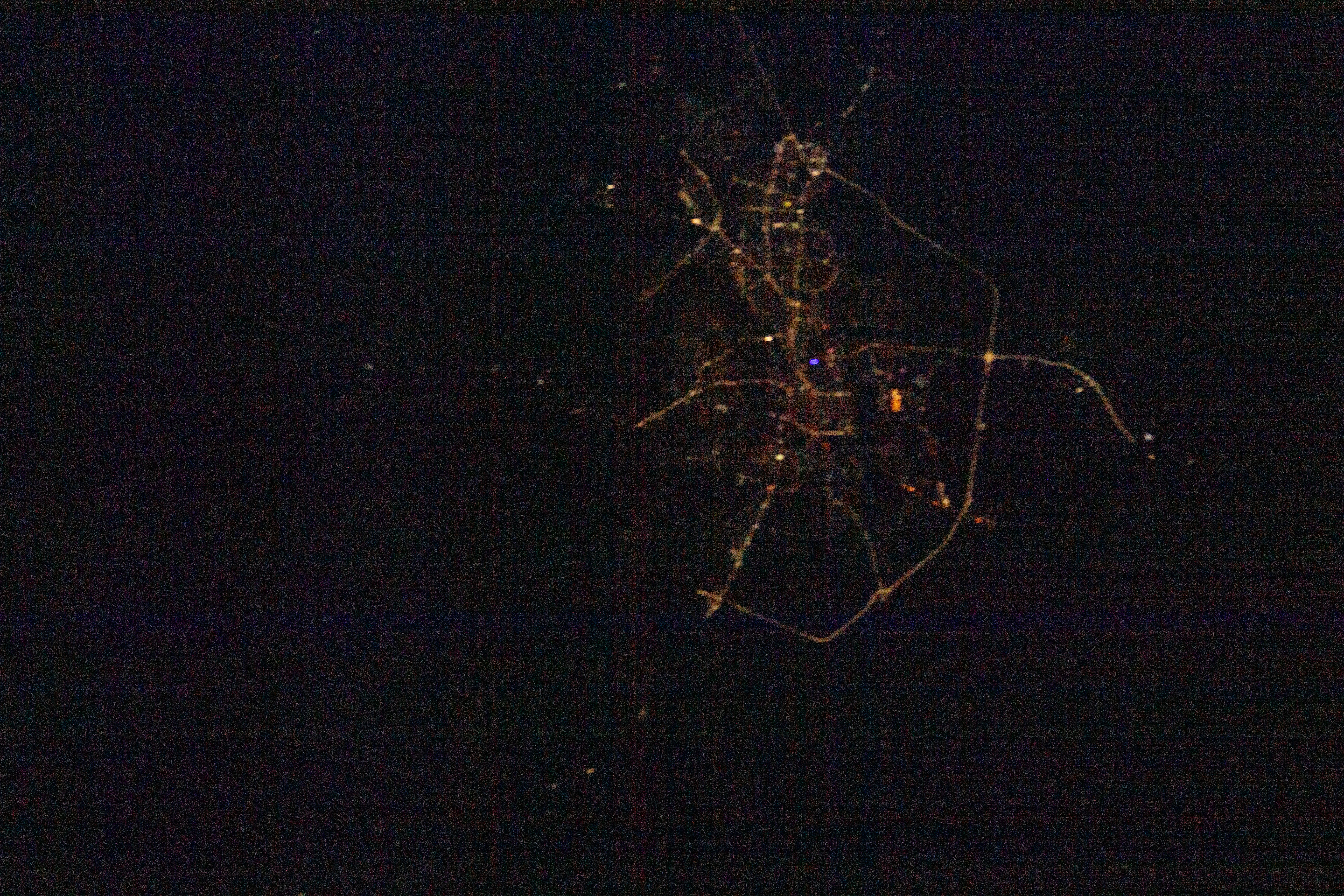 Image display
