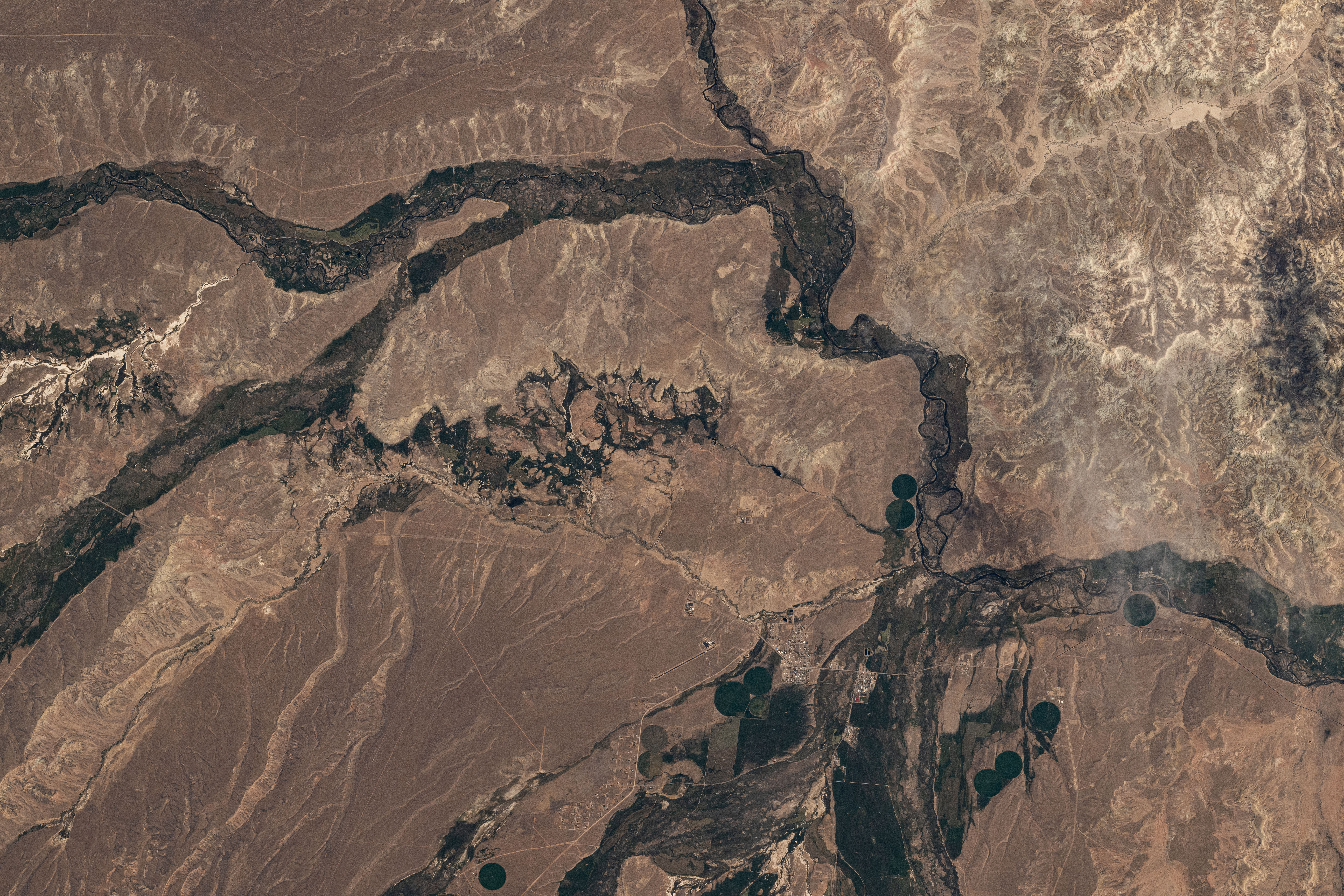 Image display