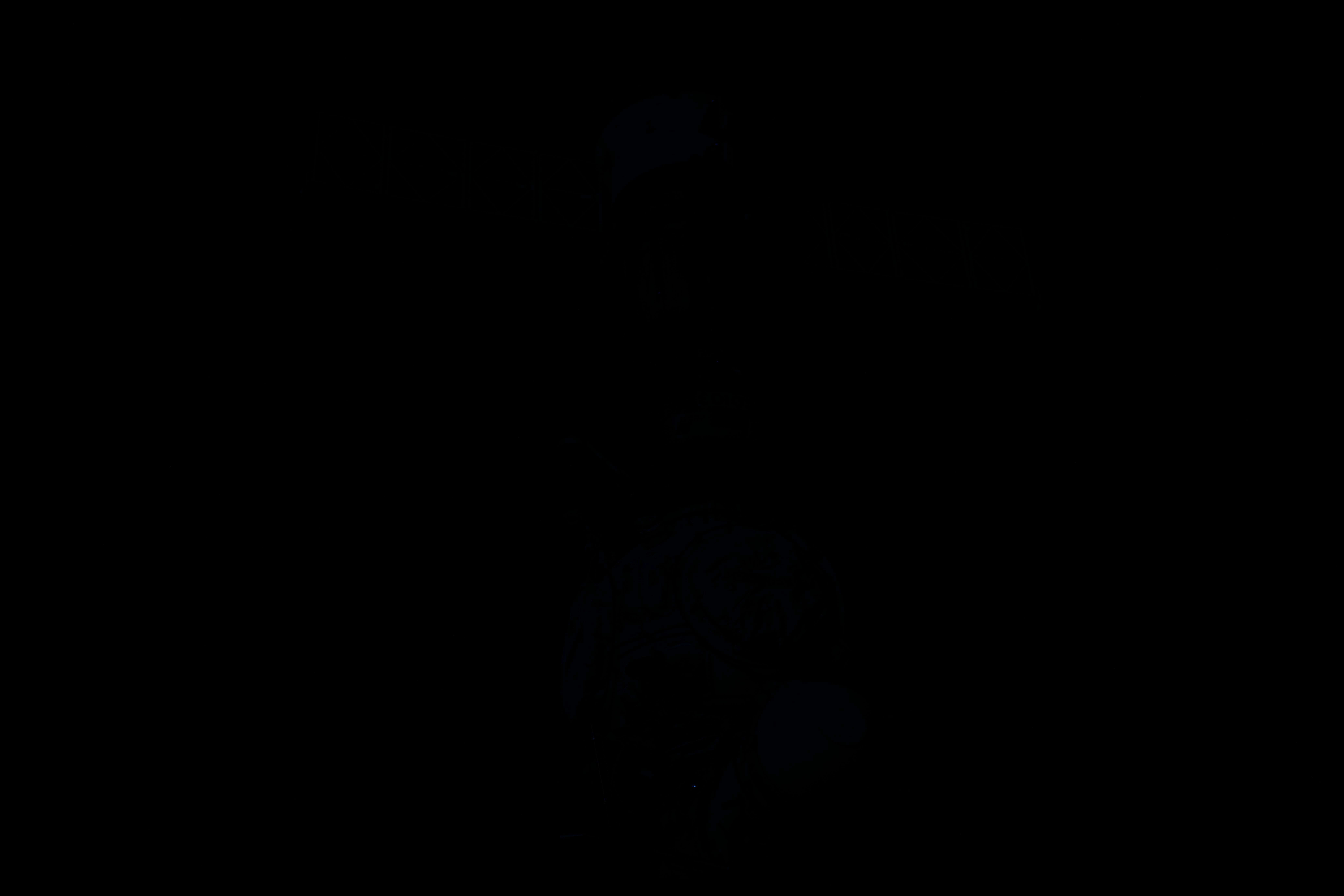 Image display