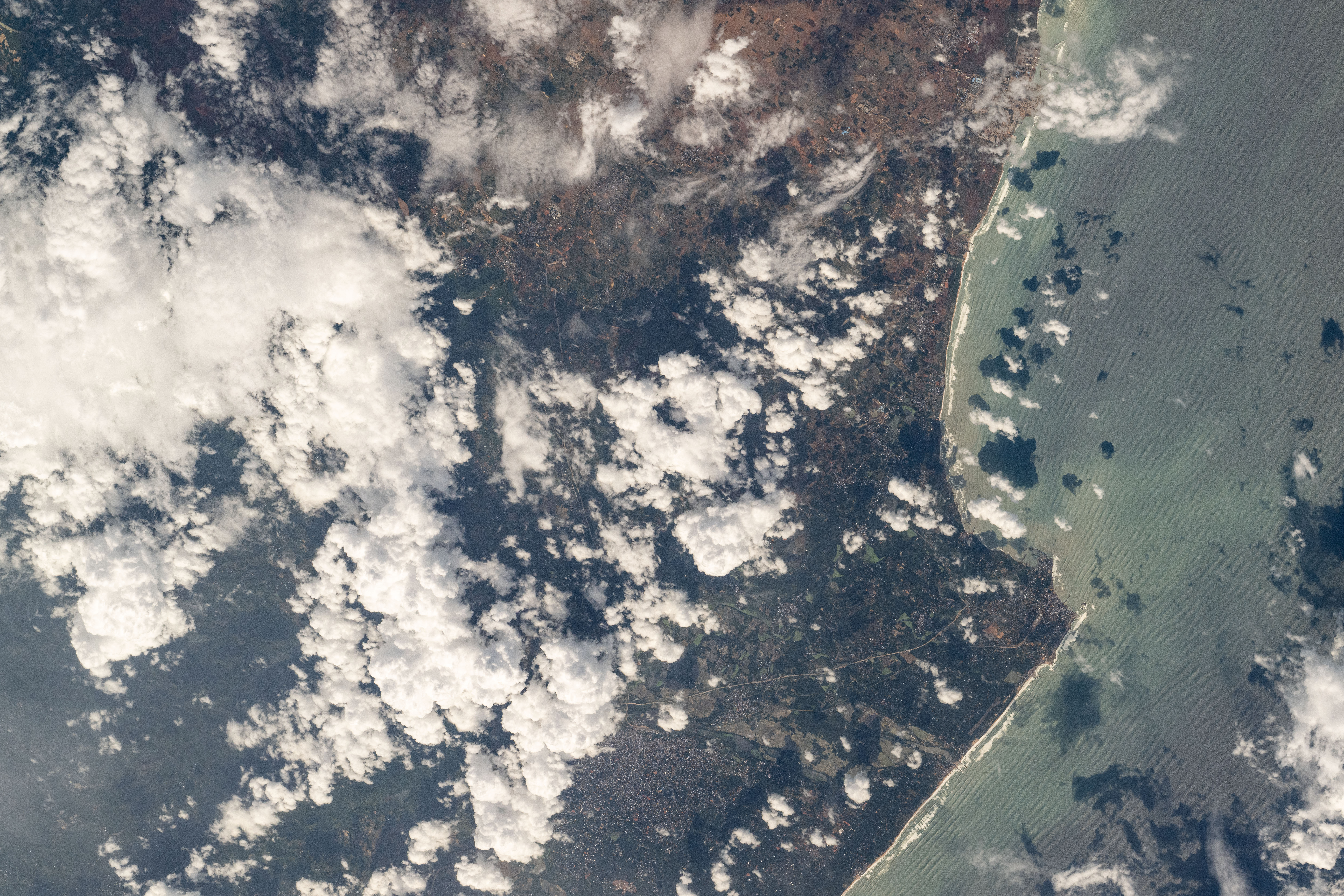 Image display