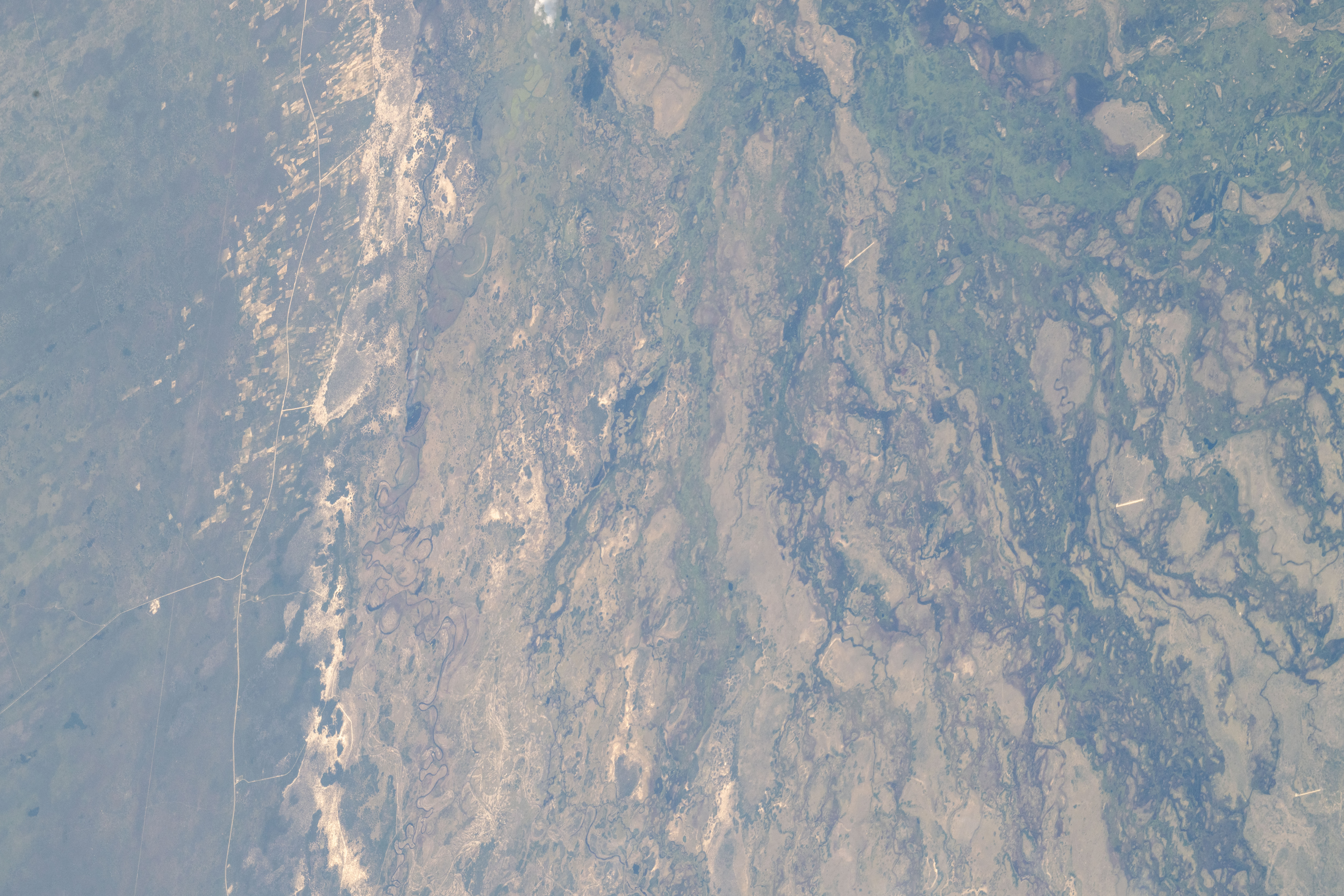 Image display