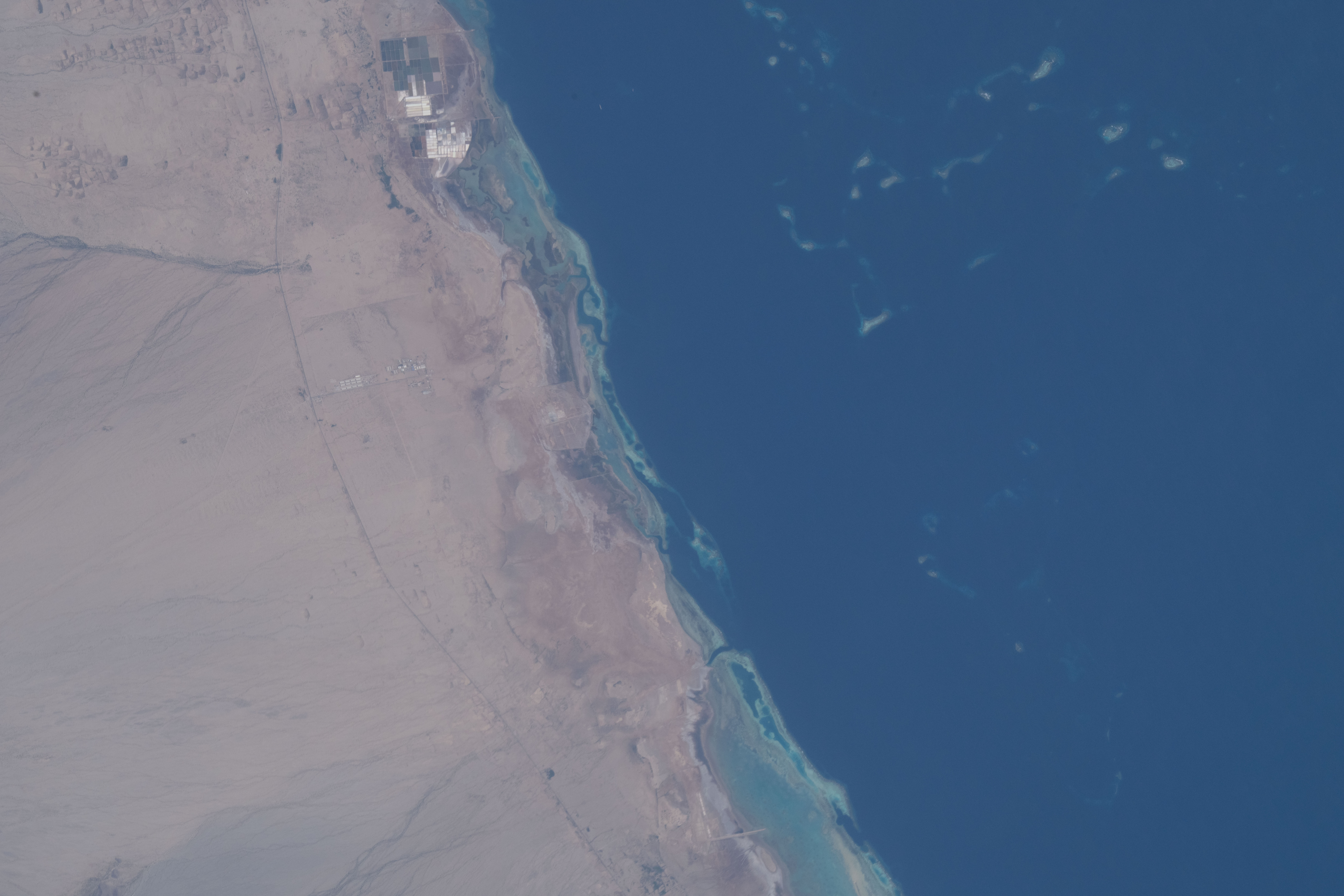 Image display