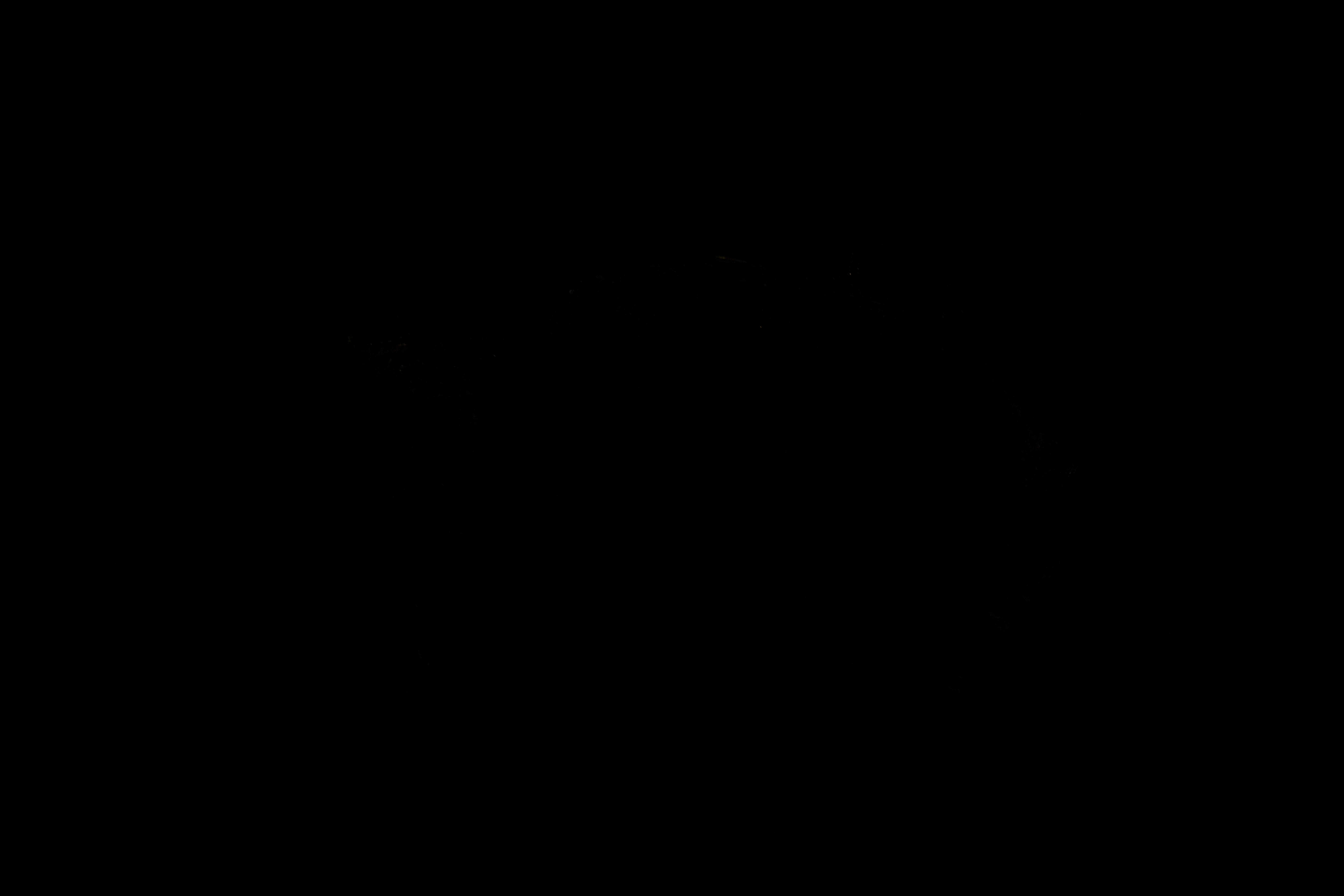 Image display