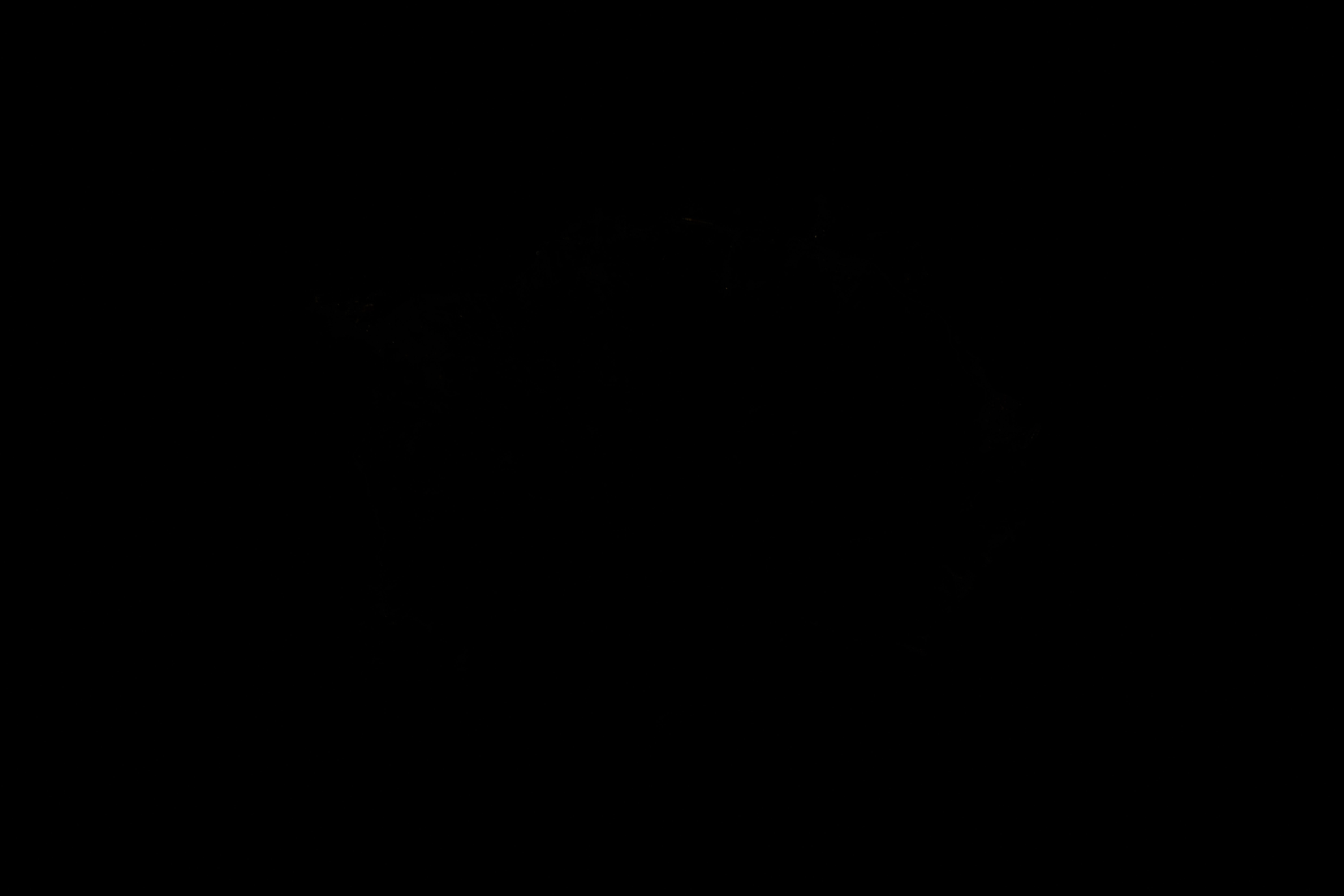 Image display