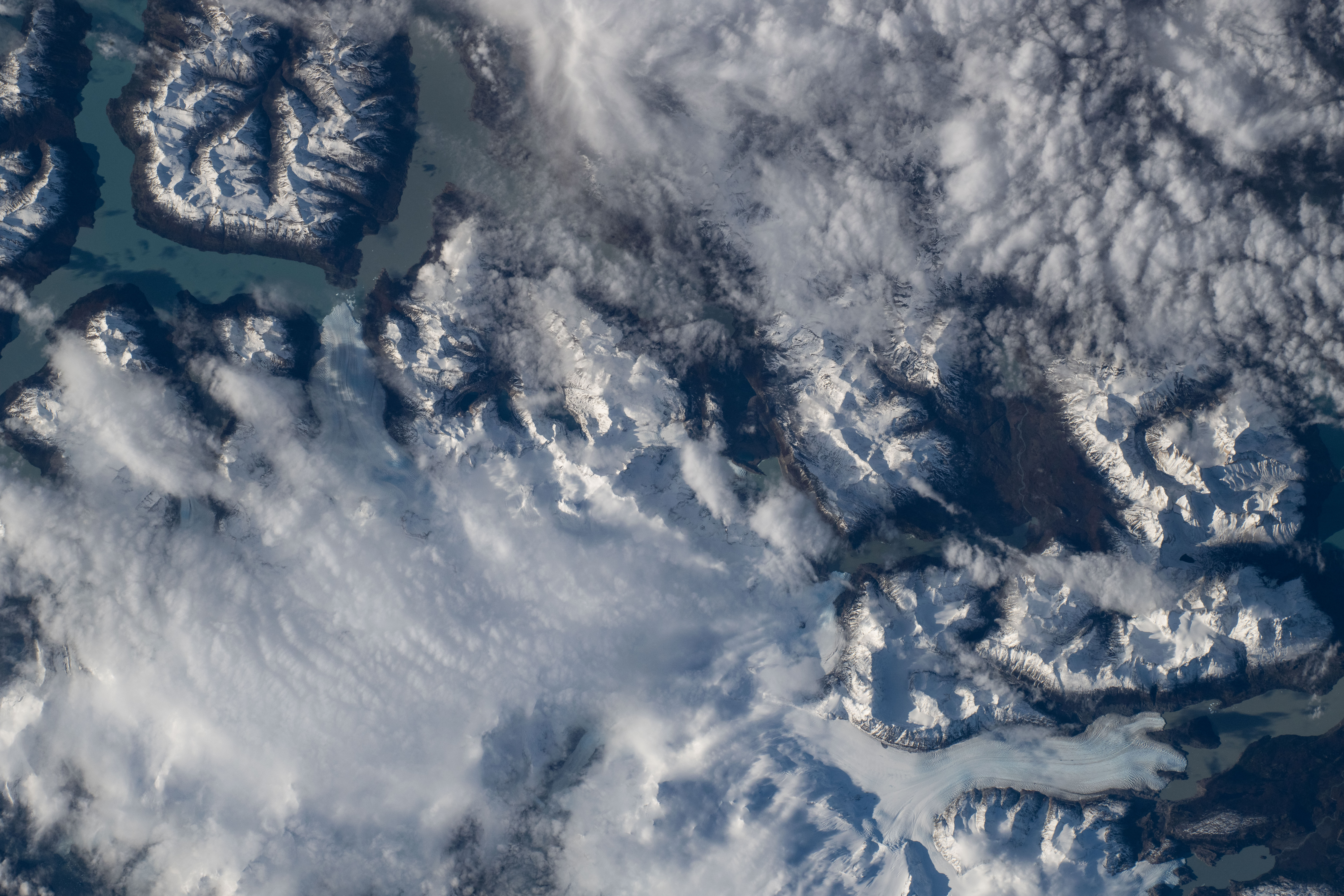 Image display