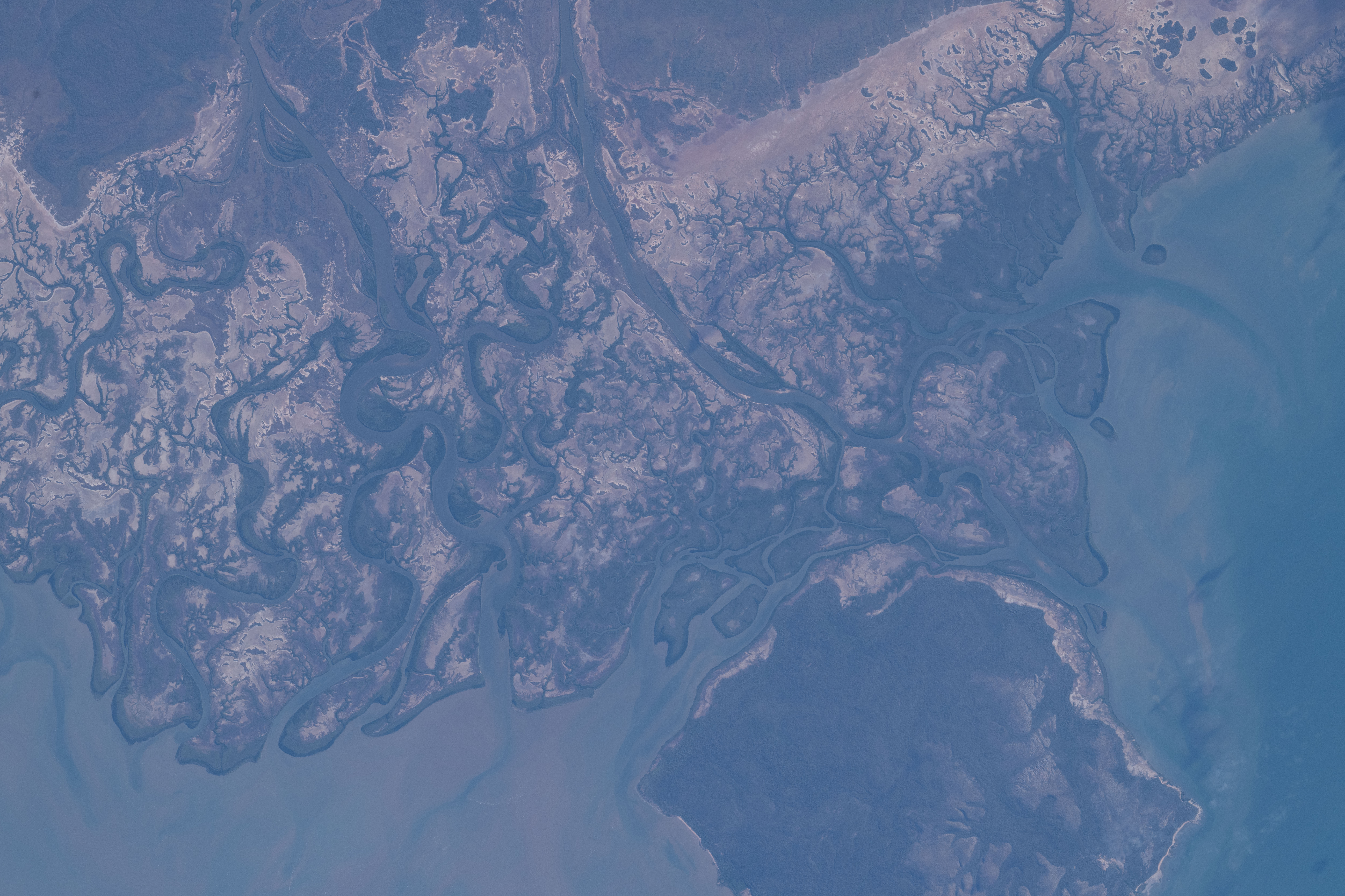 Image display