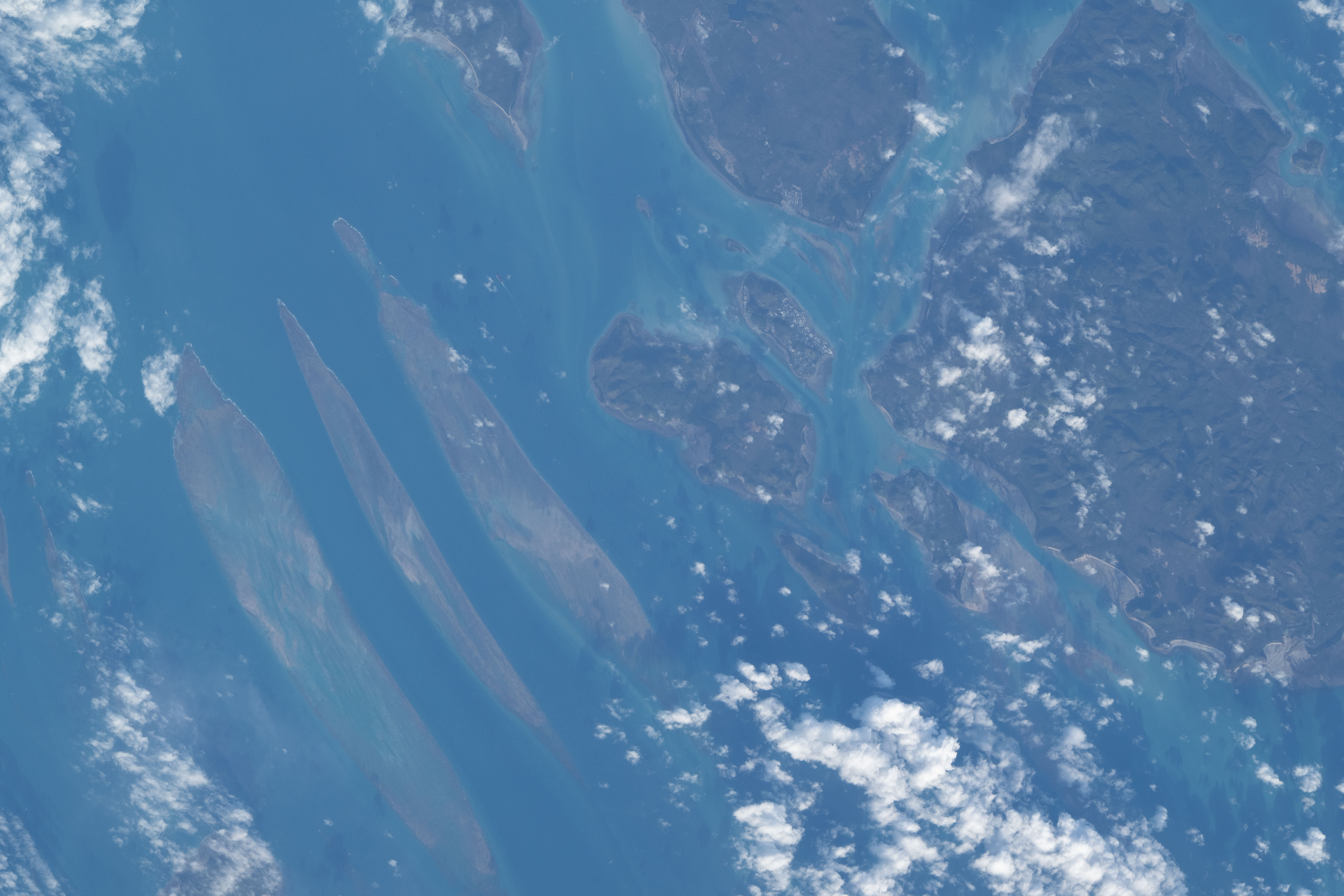 Image display
