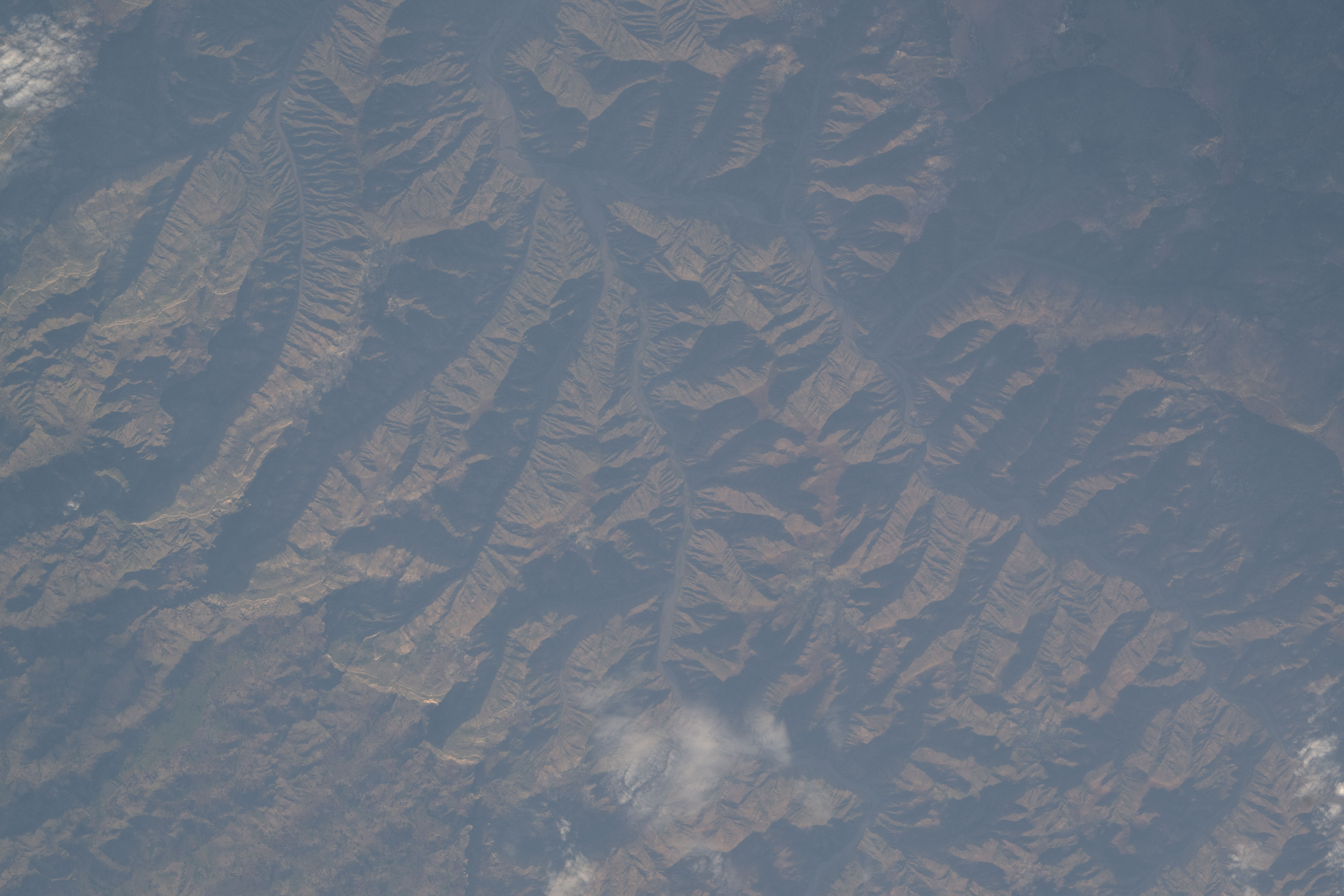 Image display