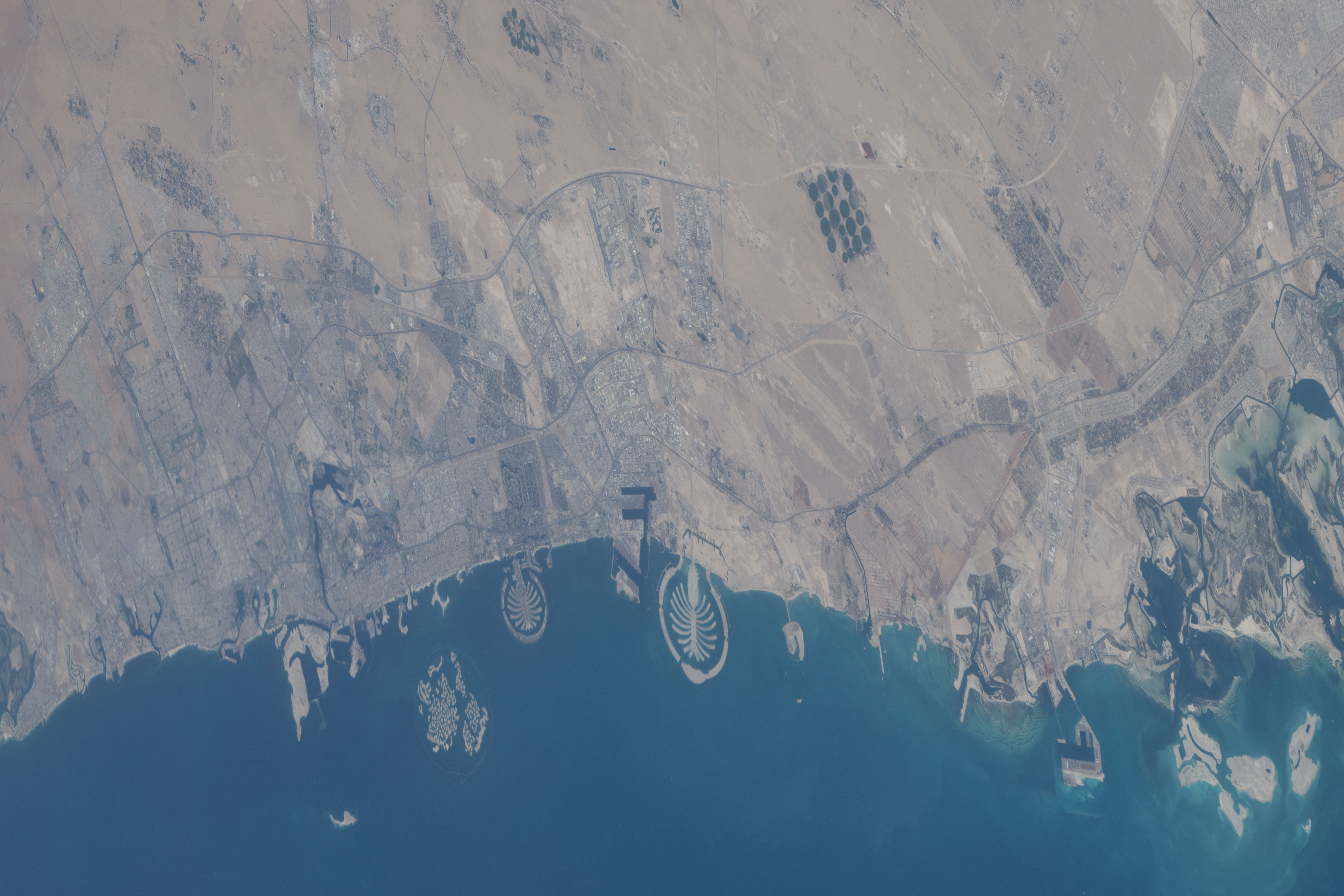 Image display