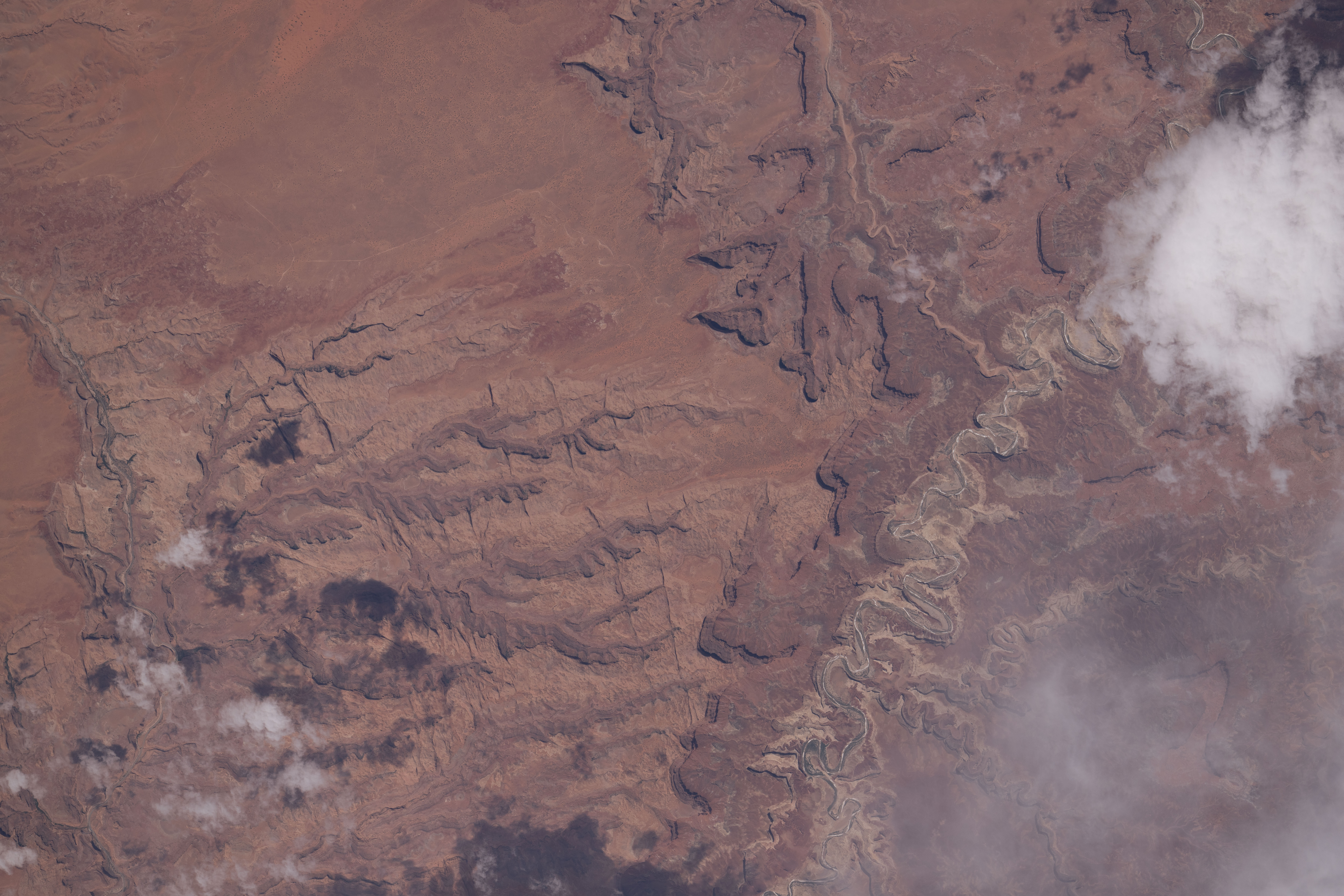 Image display
