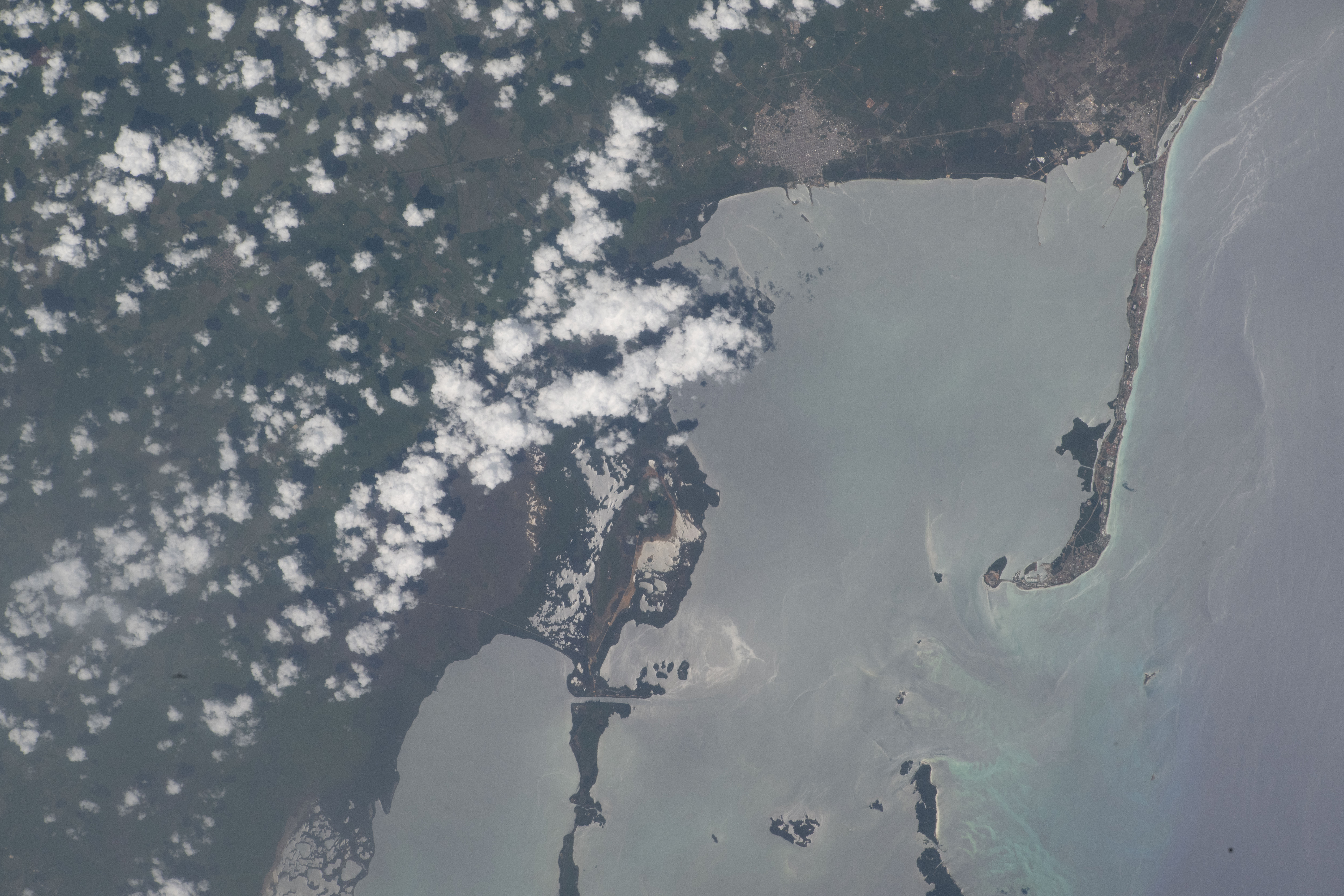Image display