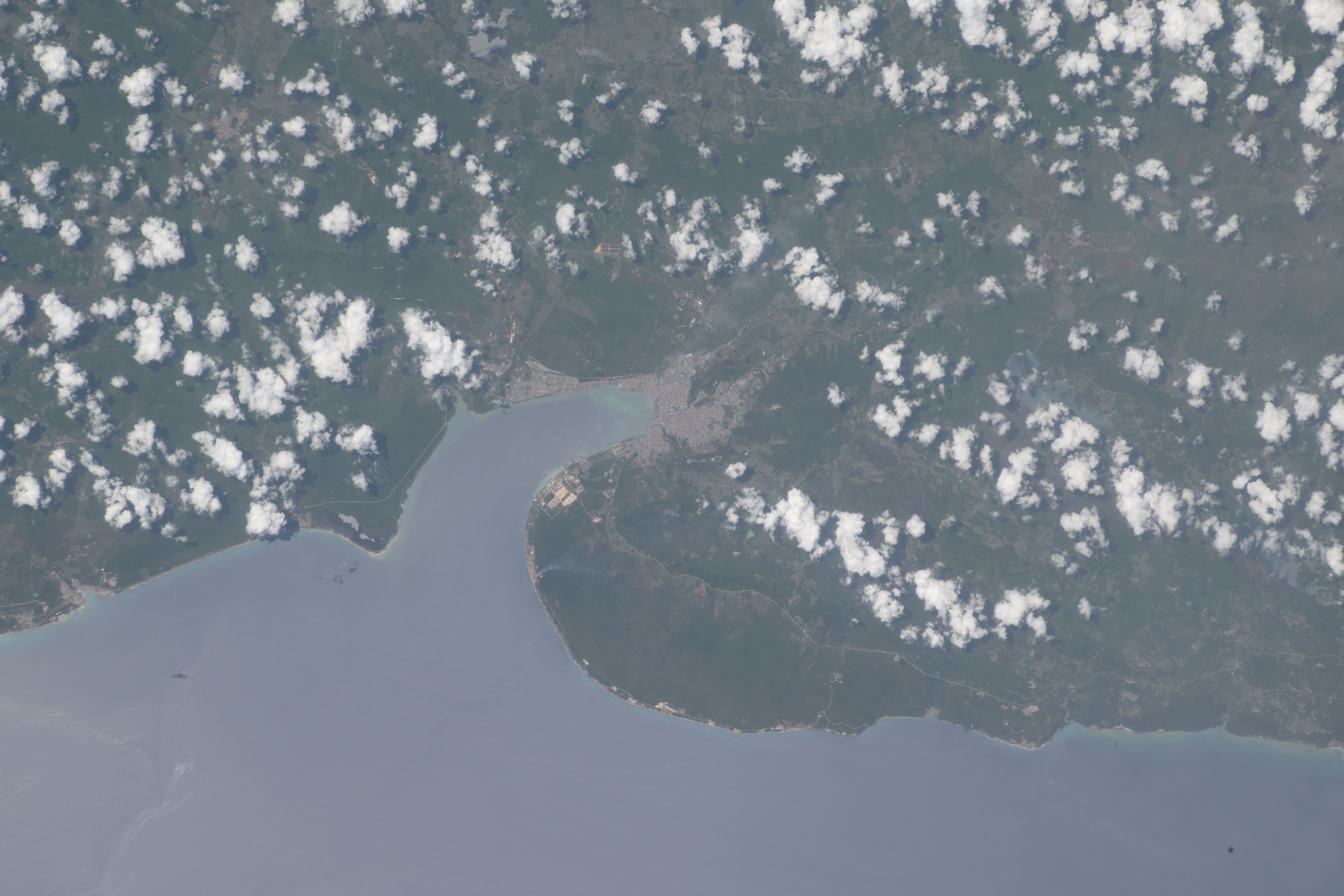 Image display