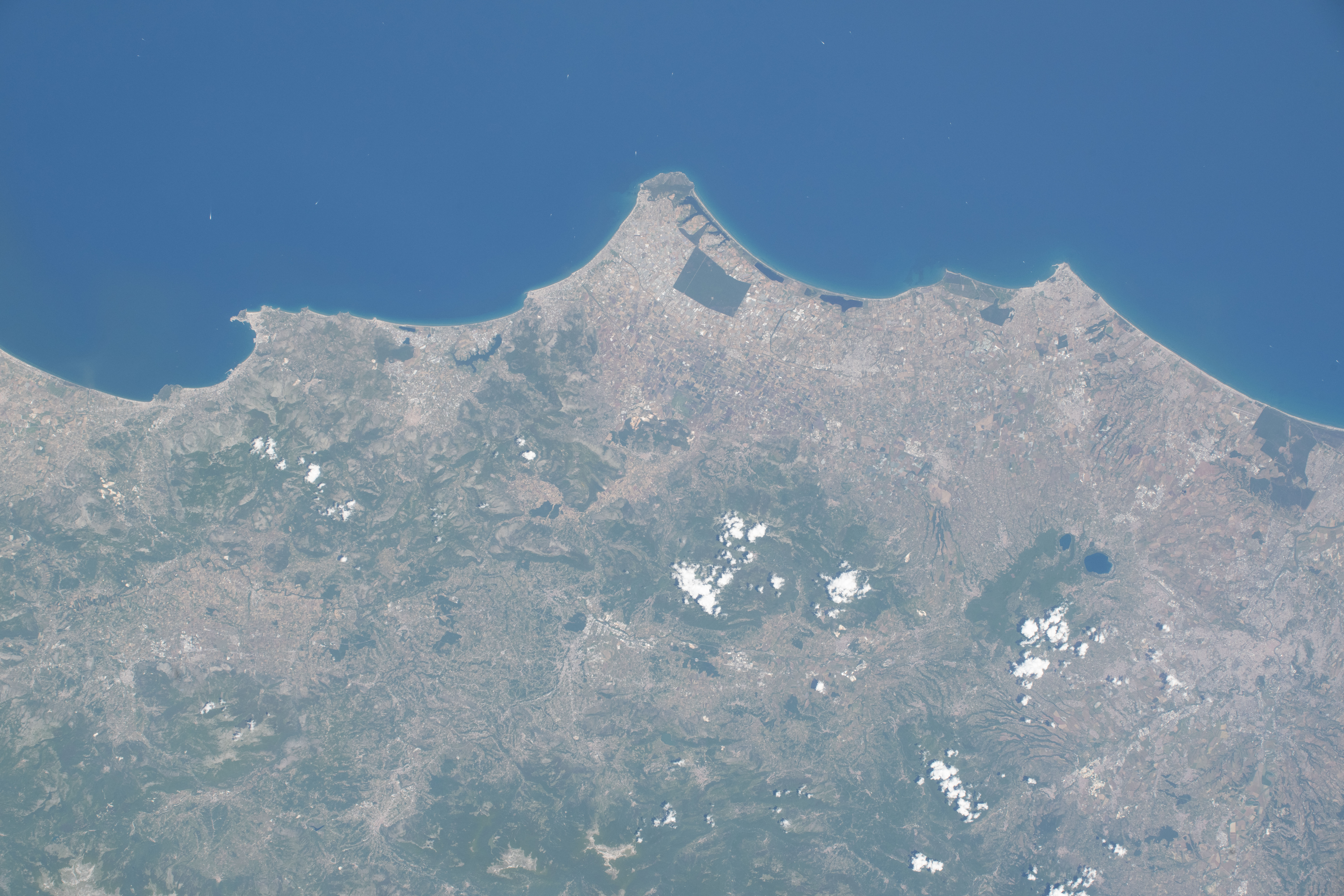 Image display