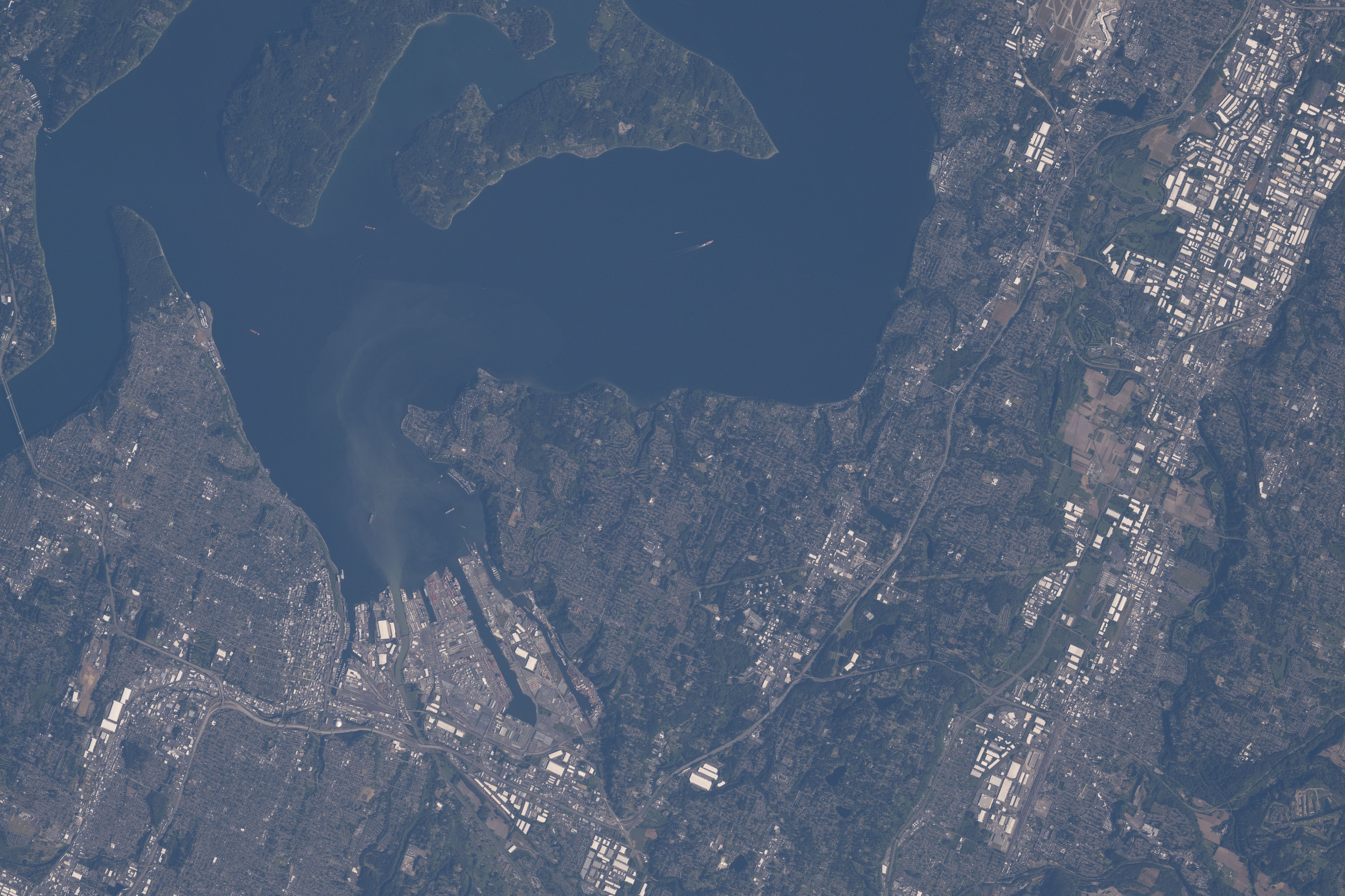 Image display
