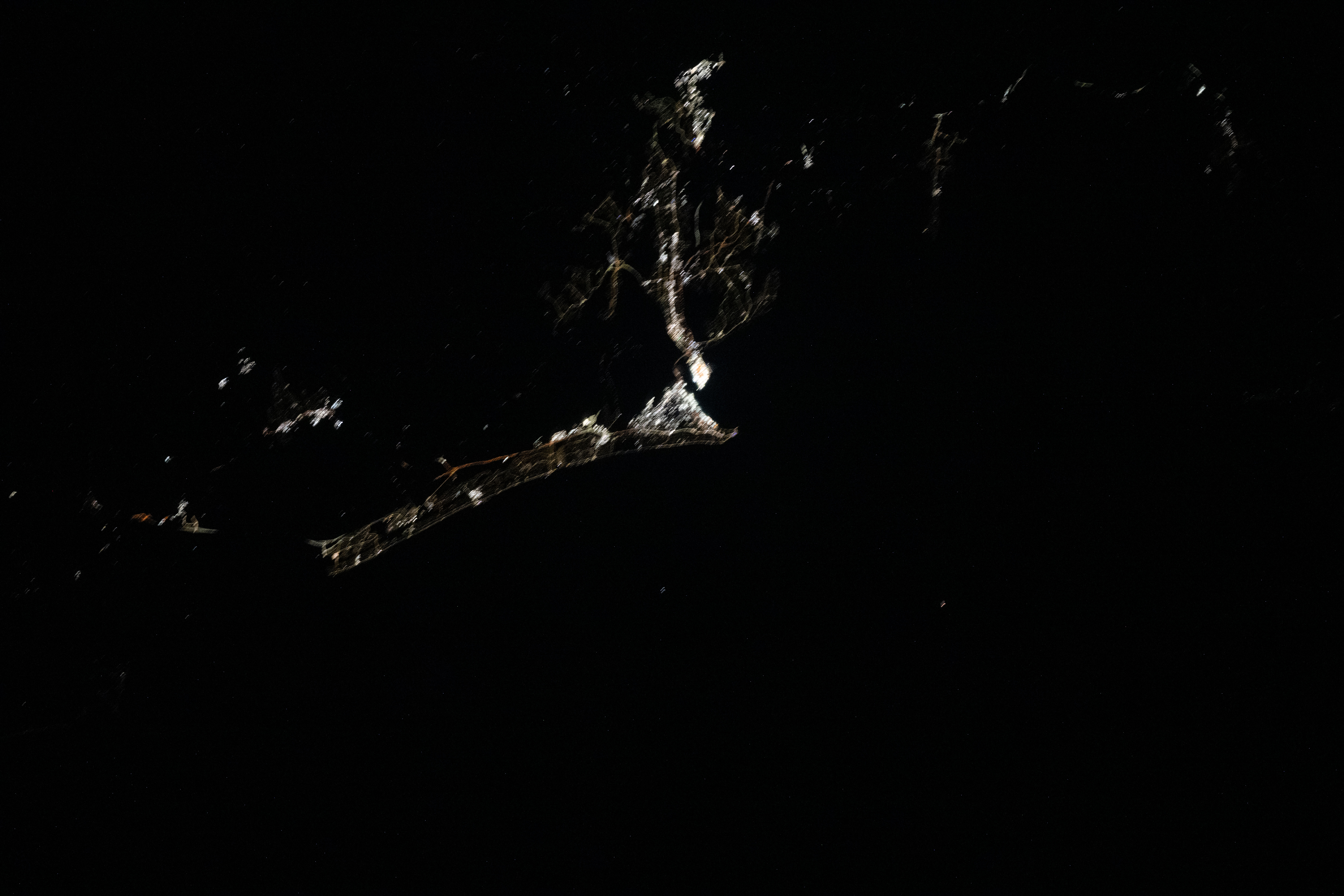 Image display