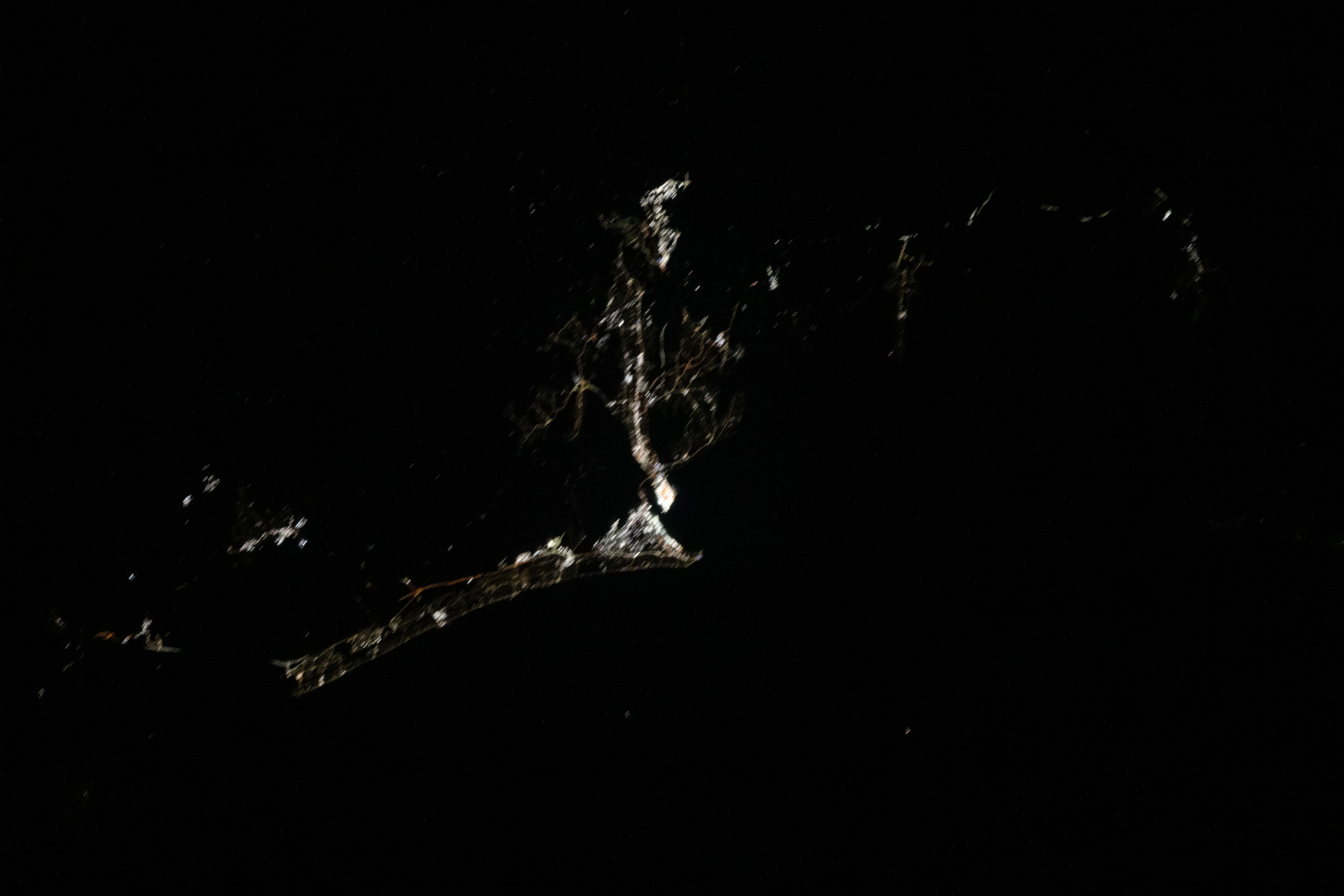 Image display