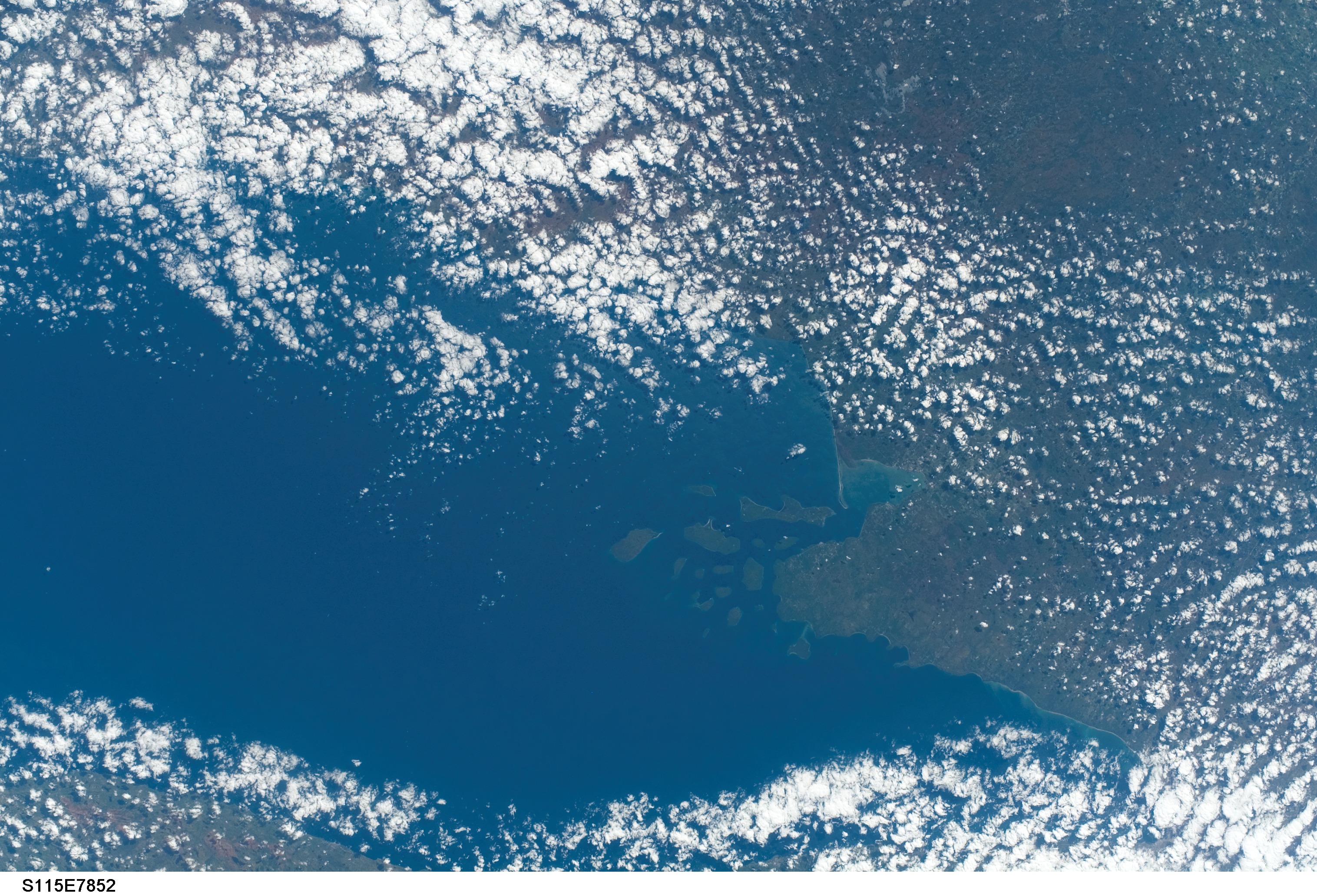 Image display