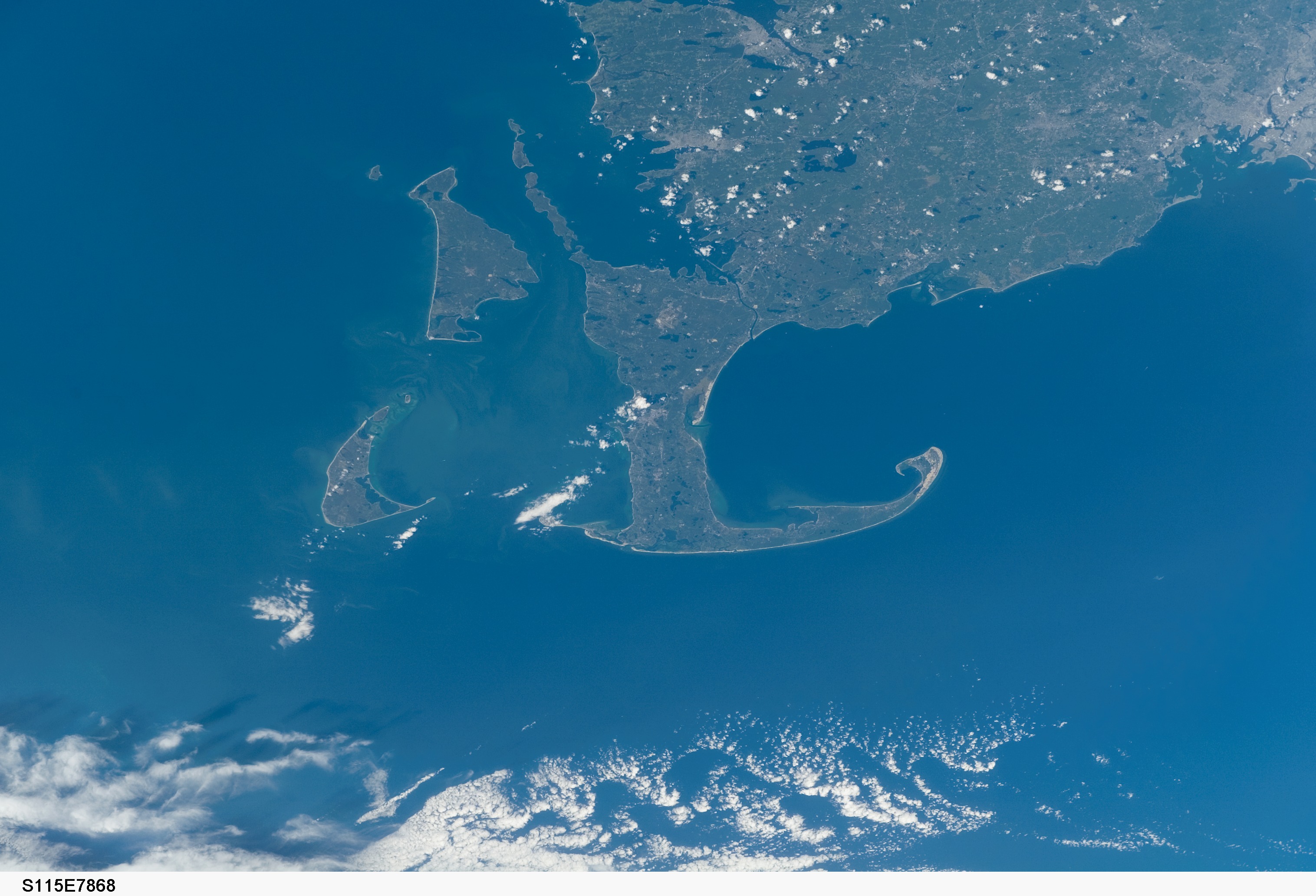 Image display