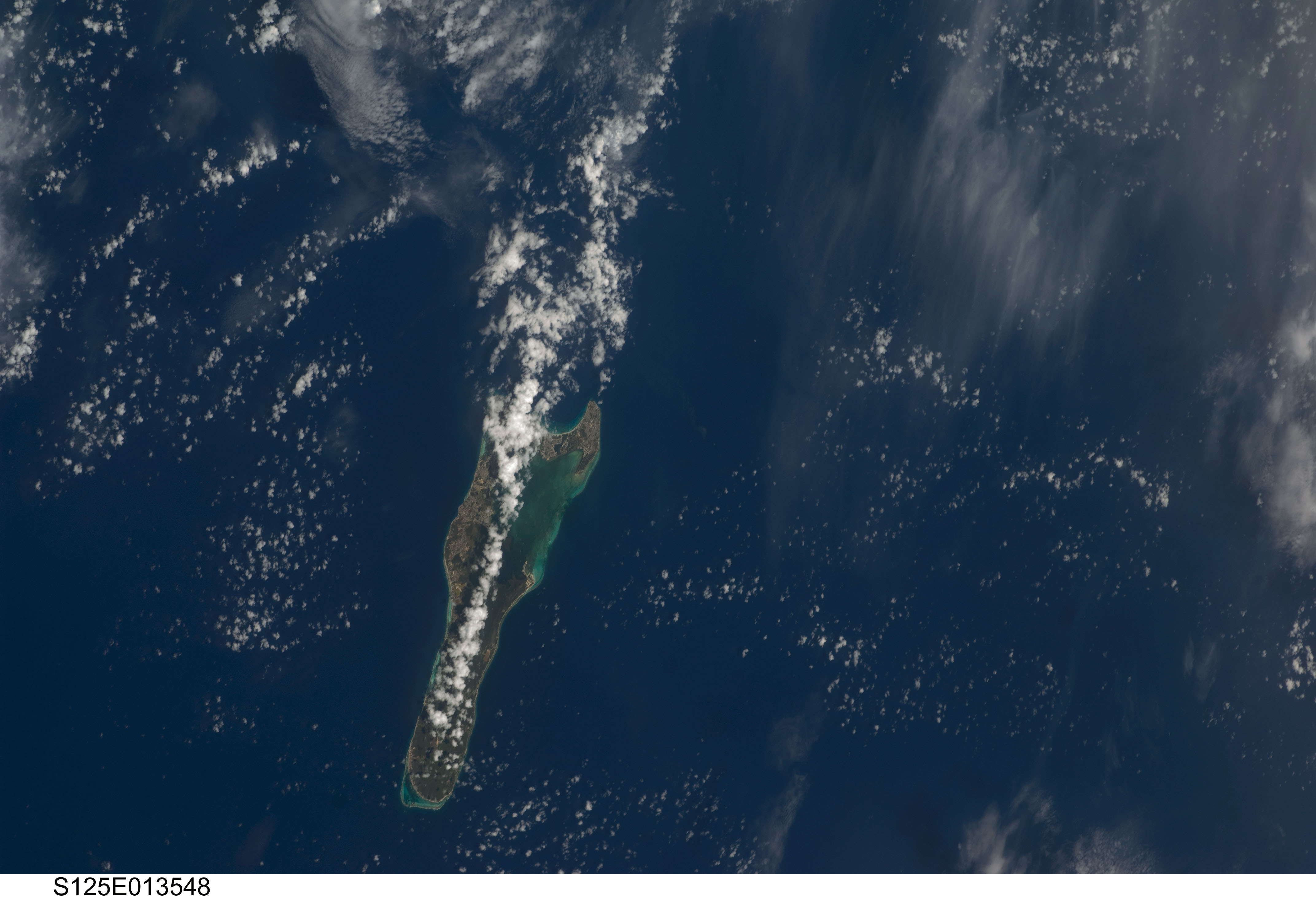 Image display