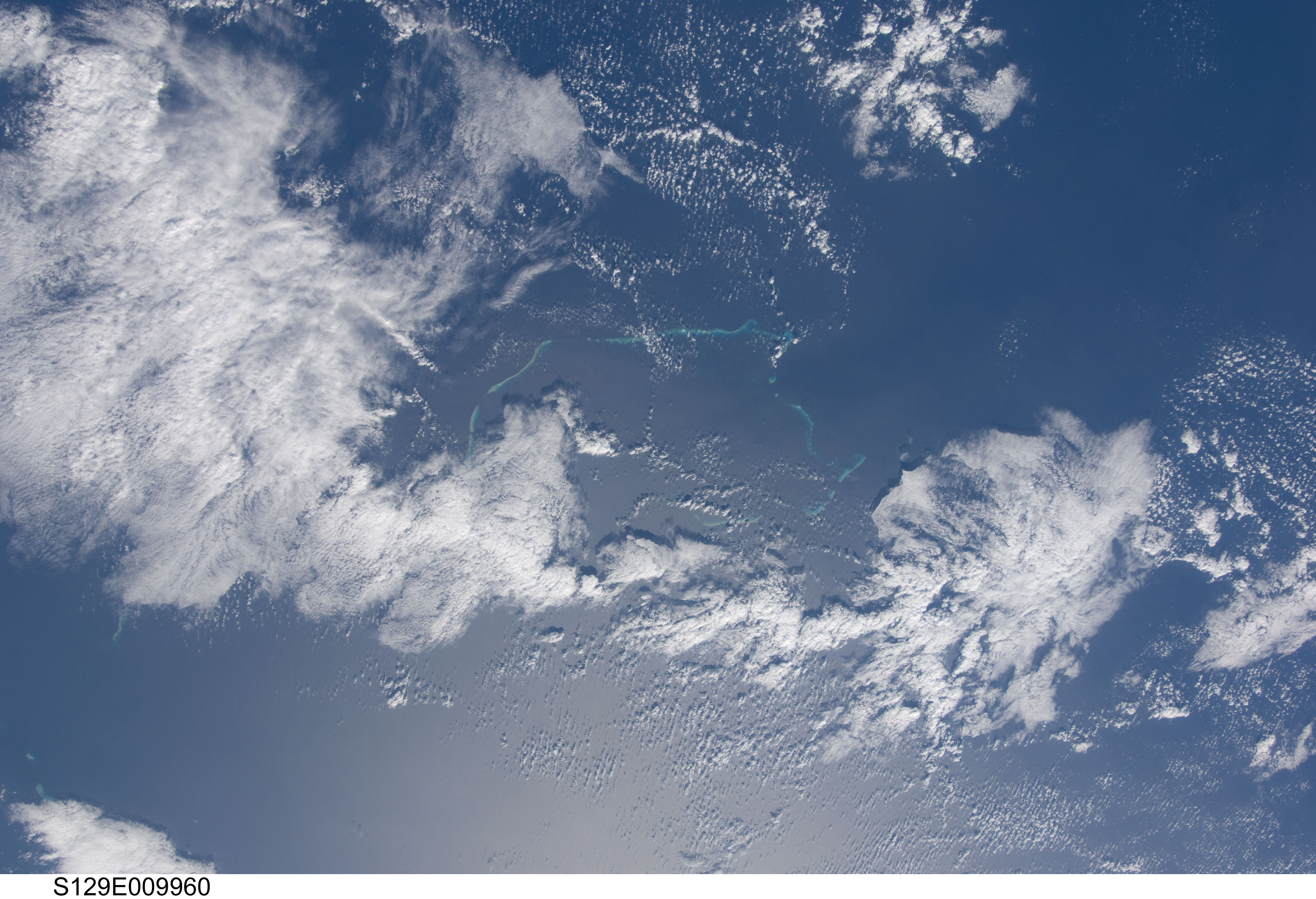 Image display