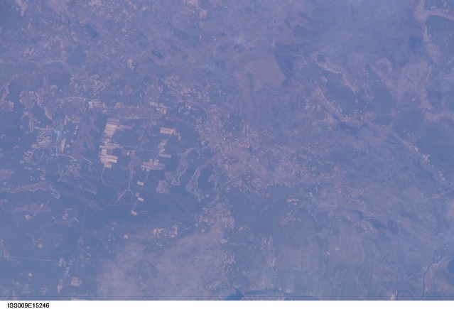 Browse image