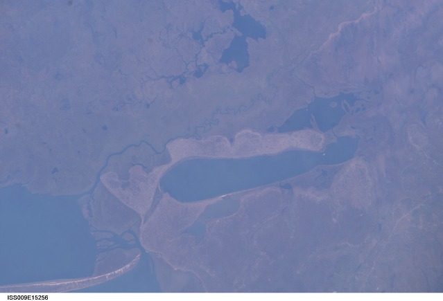Browse image