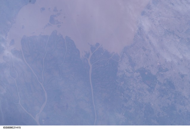 Browse image