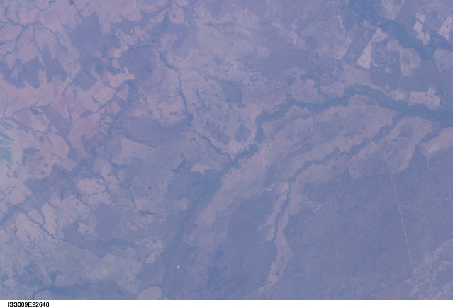 Browse image